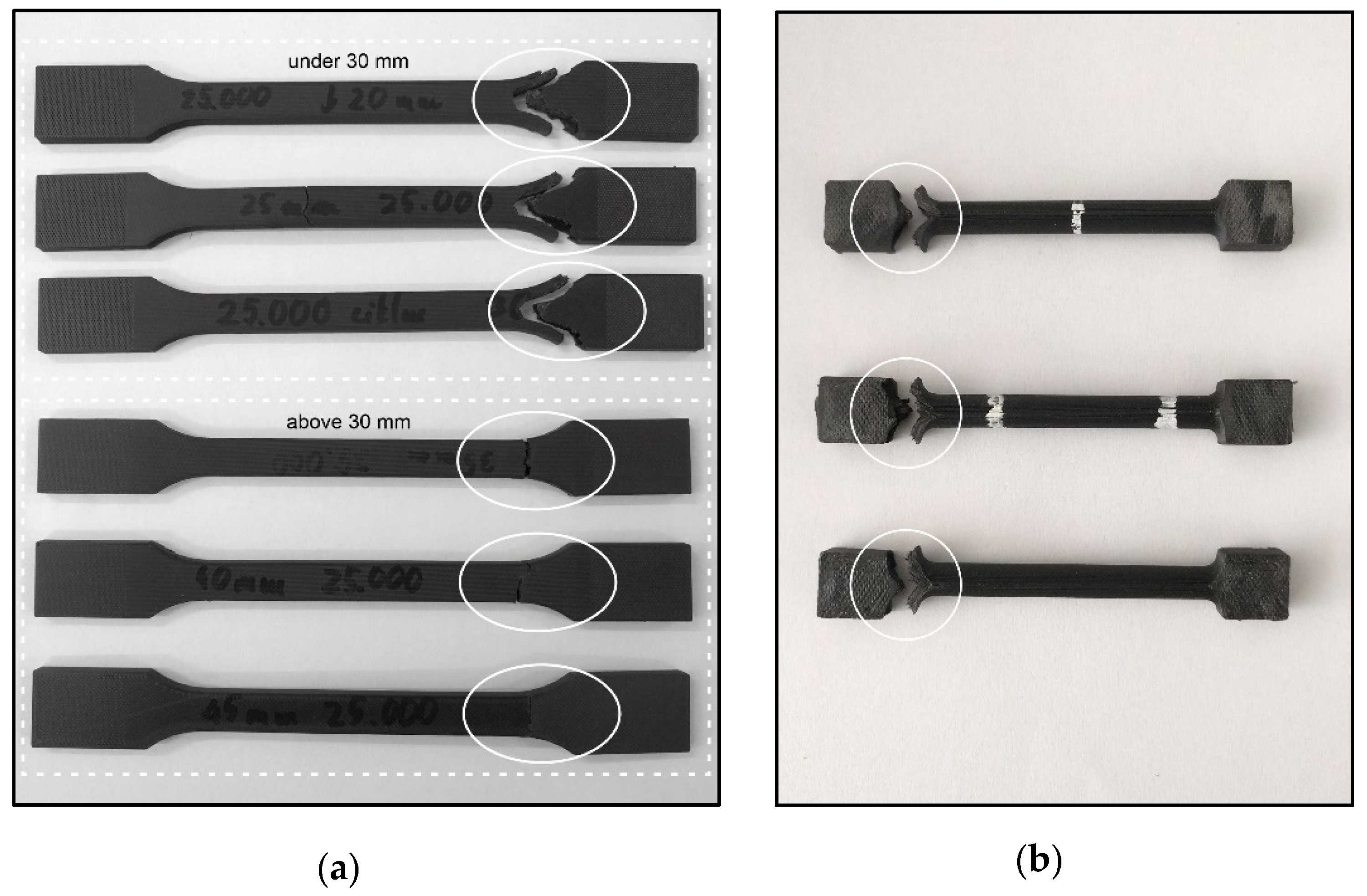 Polymers 13 02647 g009