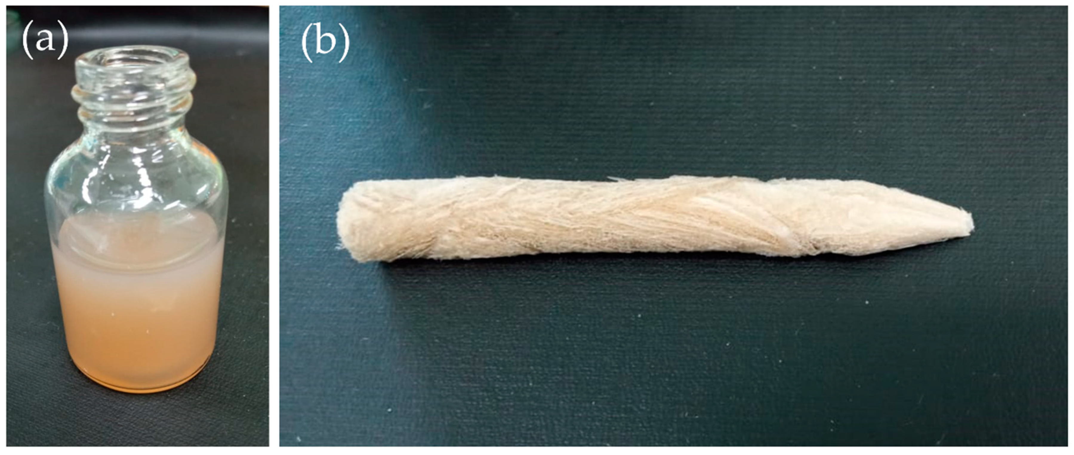 Polymers 13 02649 g001