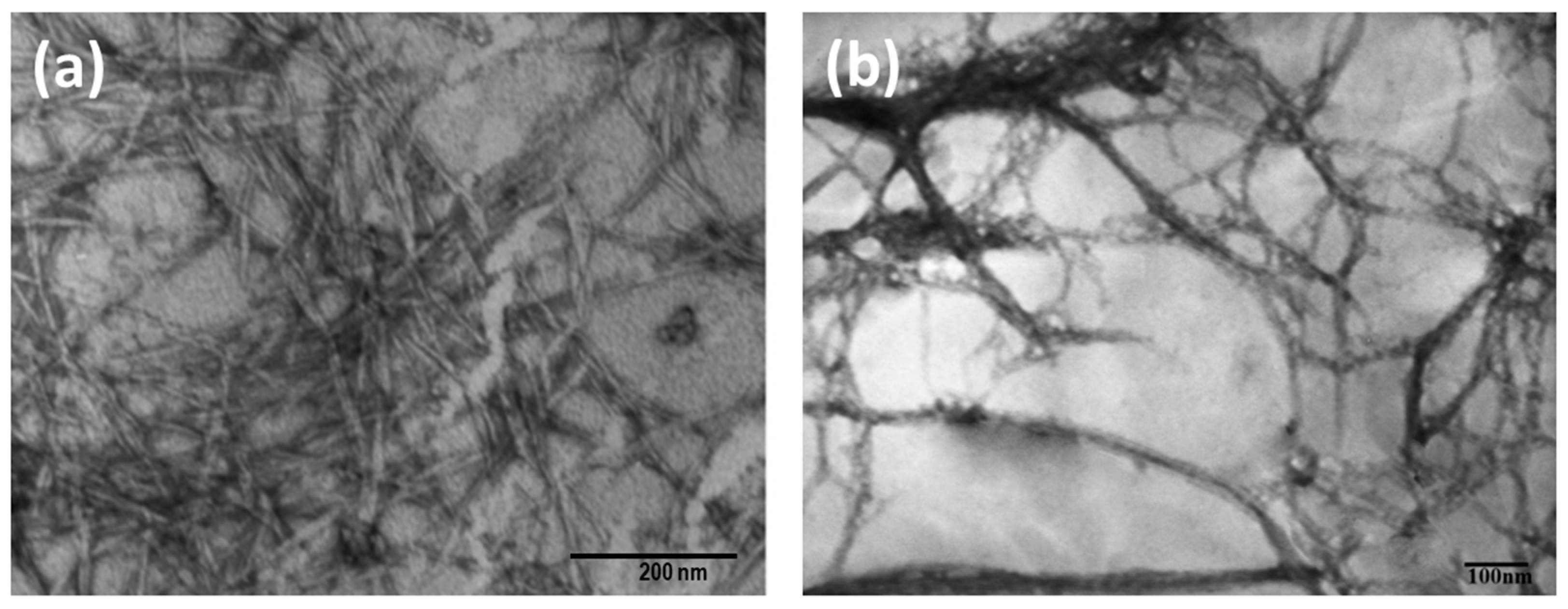 Polymers 13 02649 g002