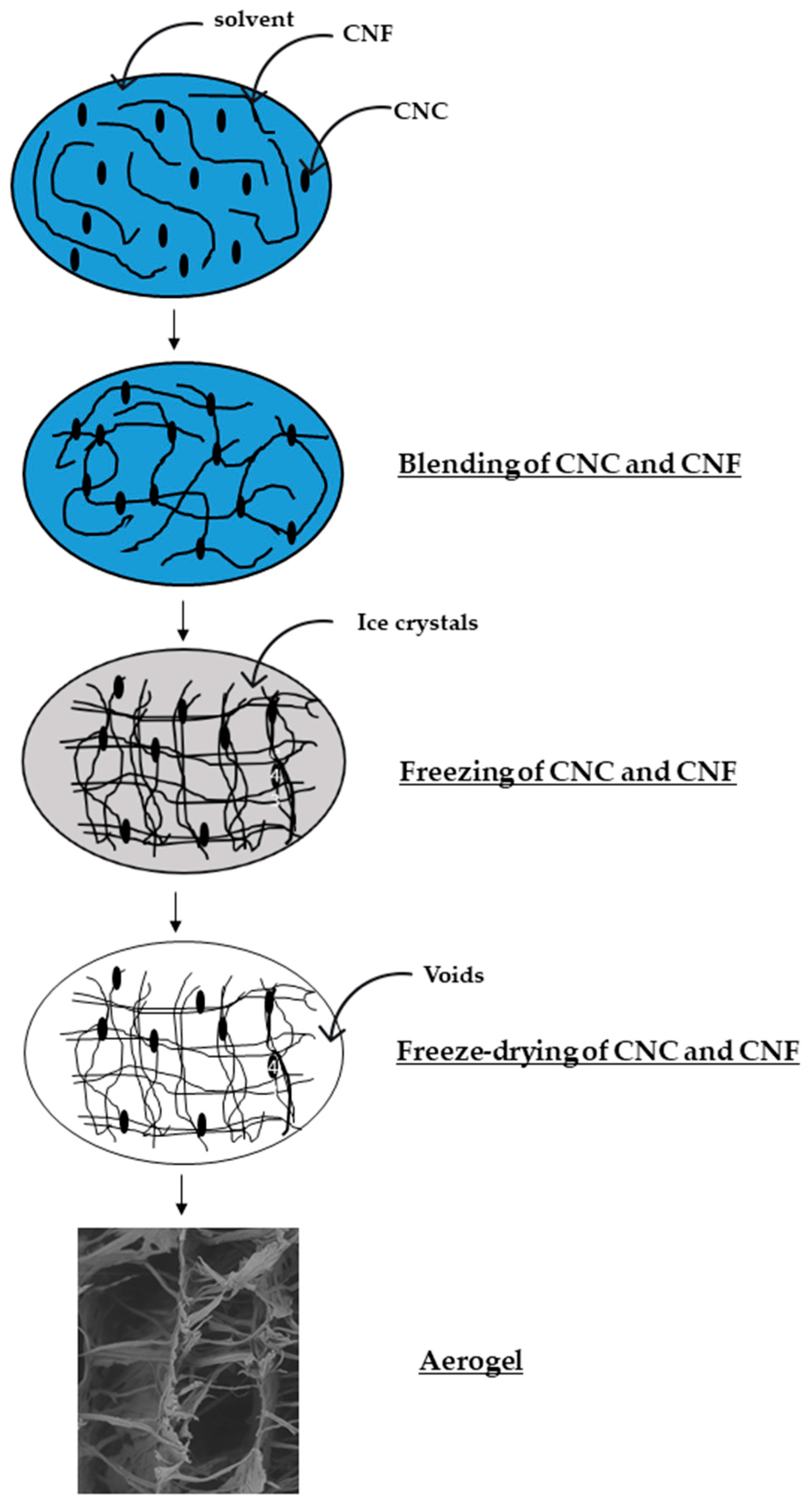 Polymers 13 02649 g004