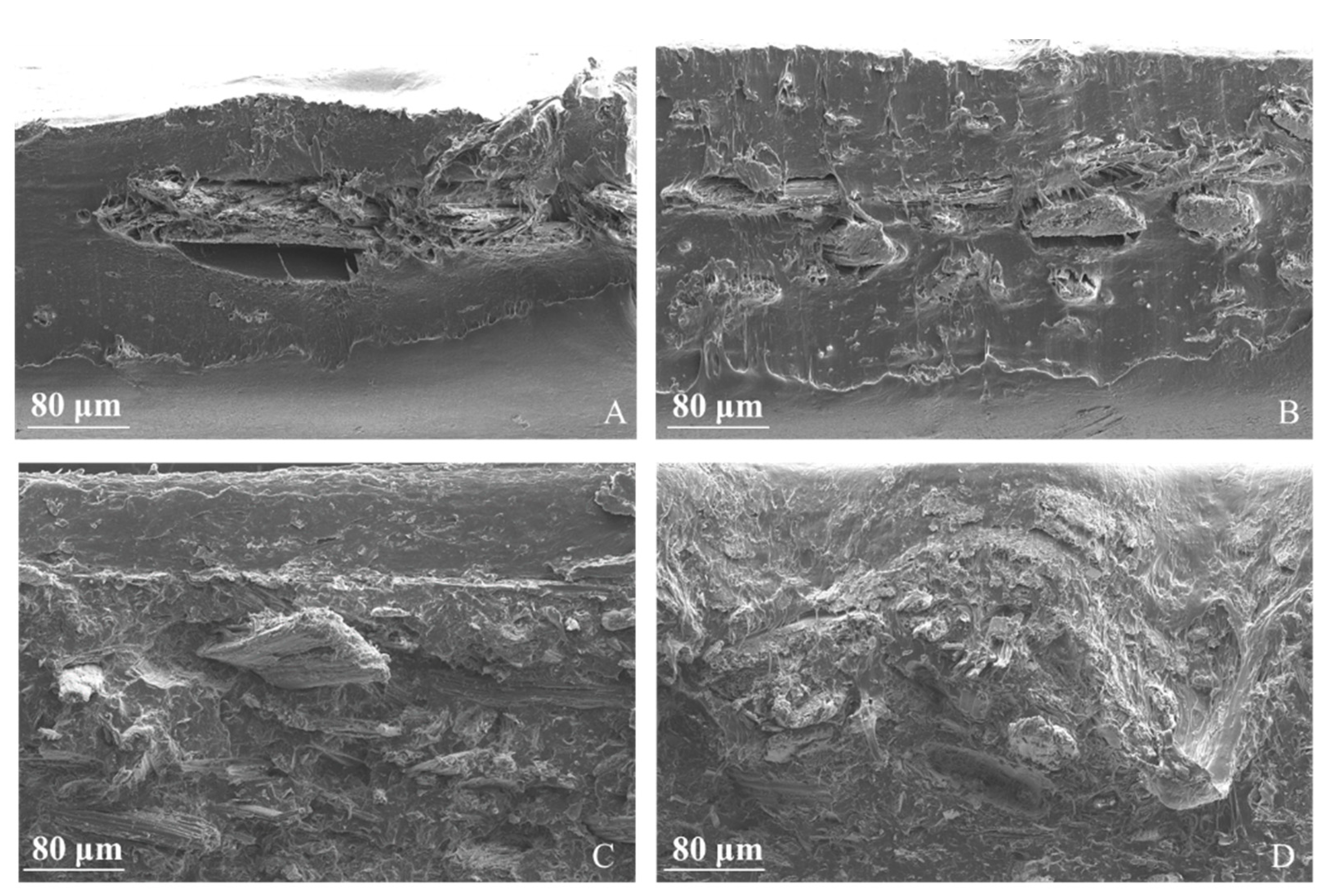 Polymers 13 02650 g005