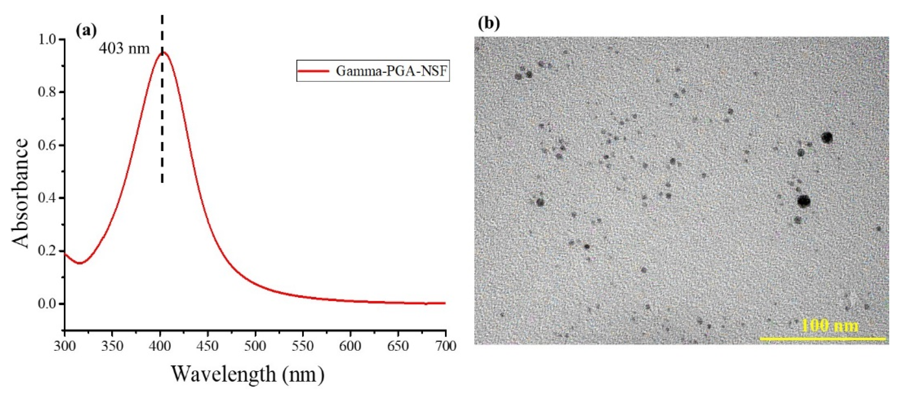 Polymers 13 02659 g001