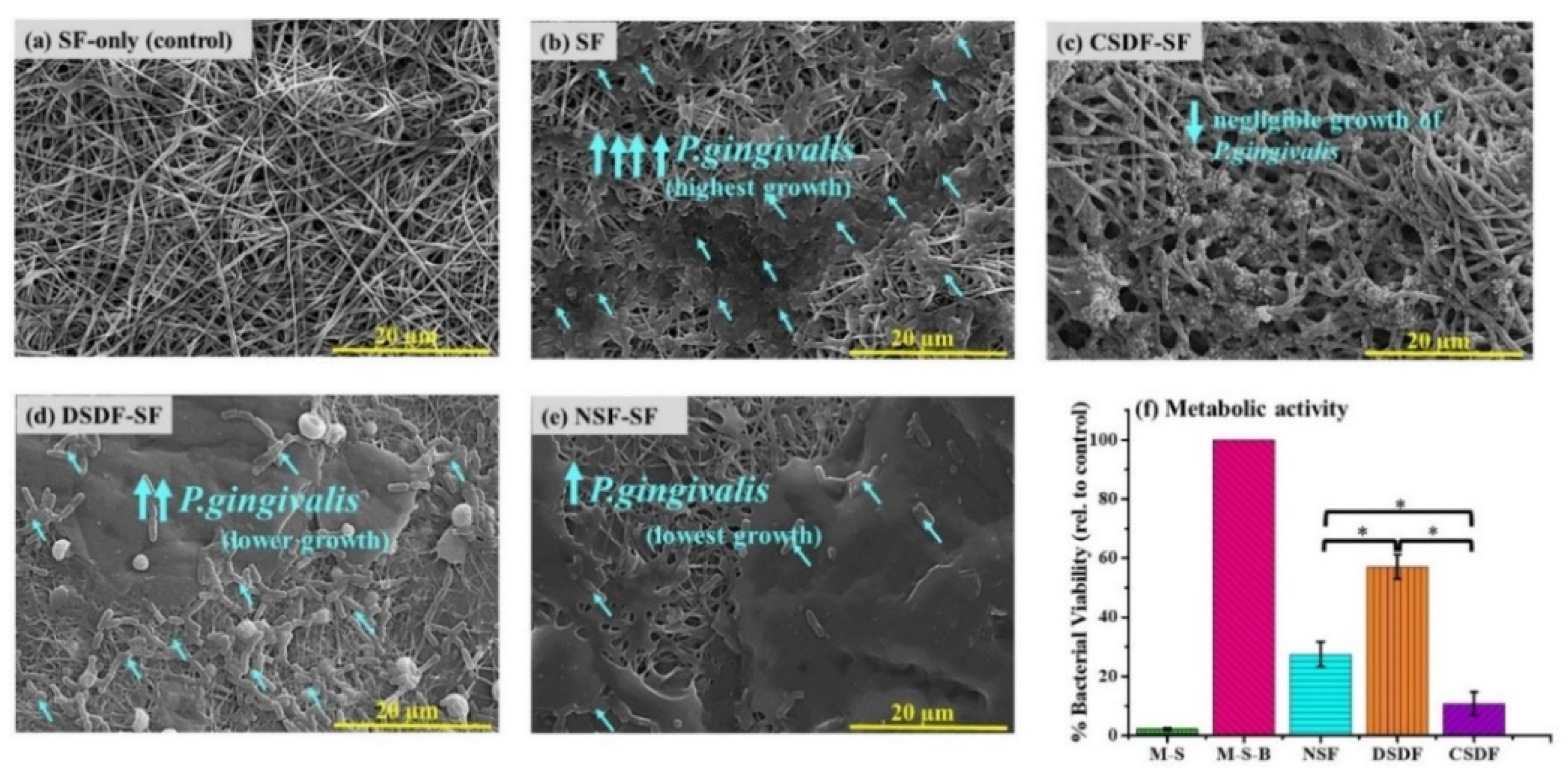 Polymers 13 02659 g003