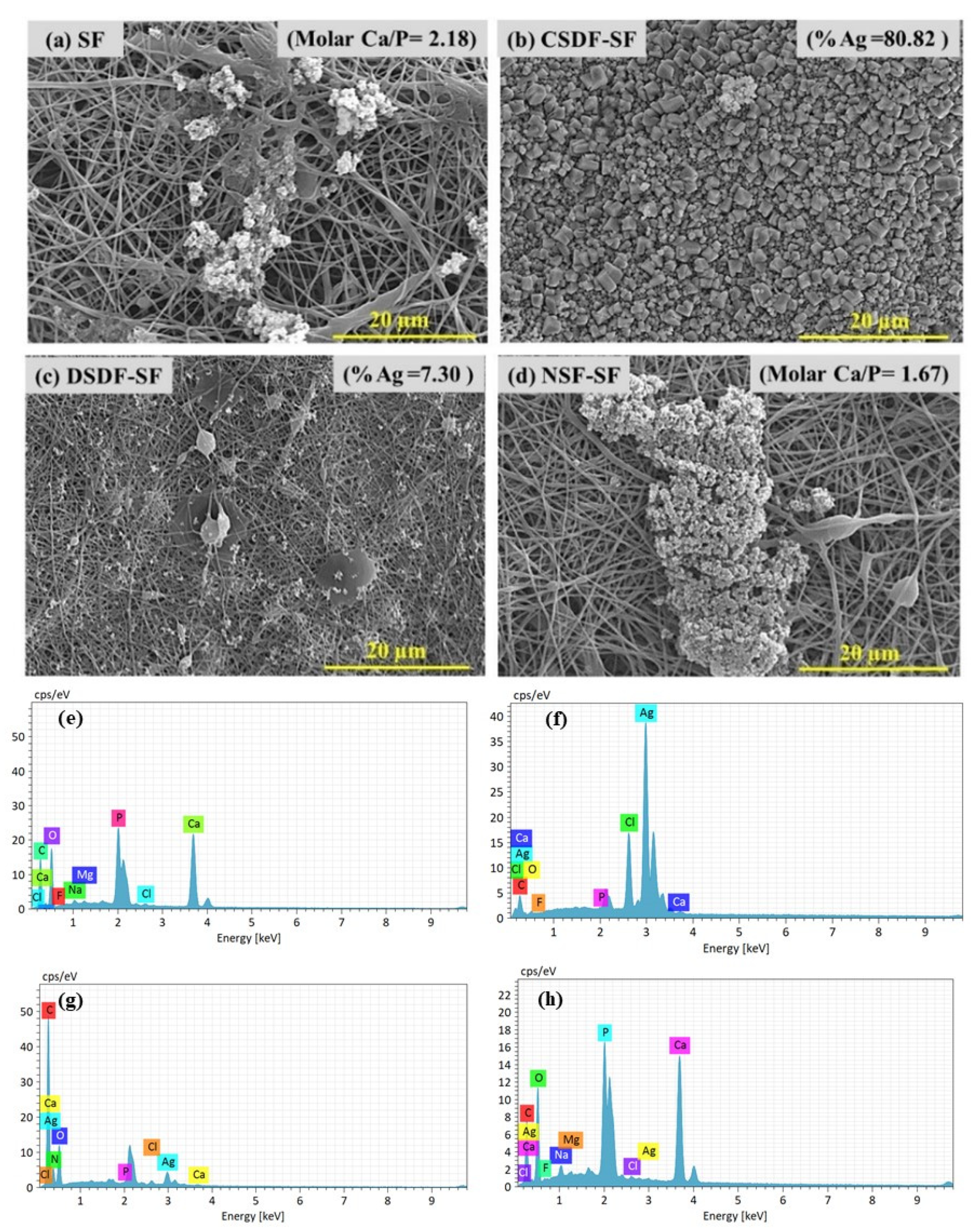 Polymers 13 02659 g004