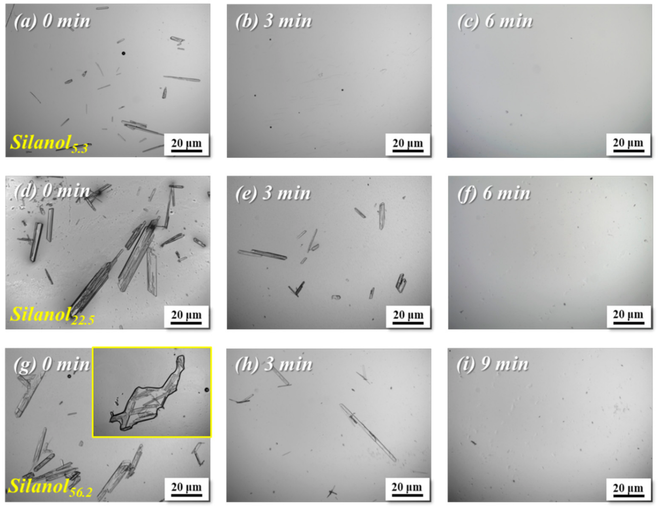 Polymers 13 02660 g005