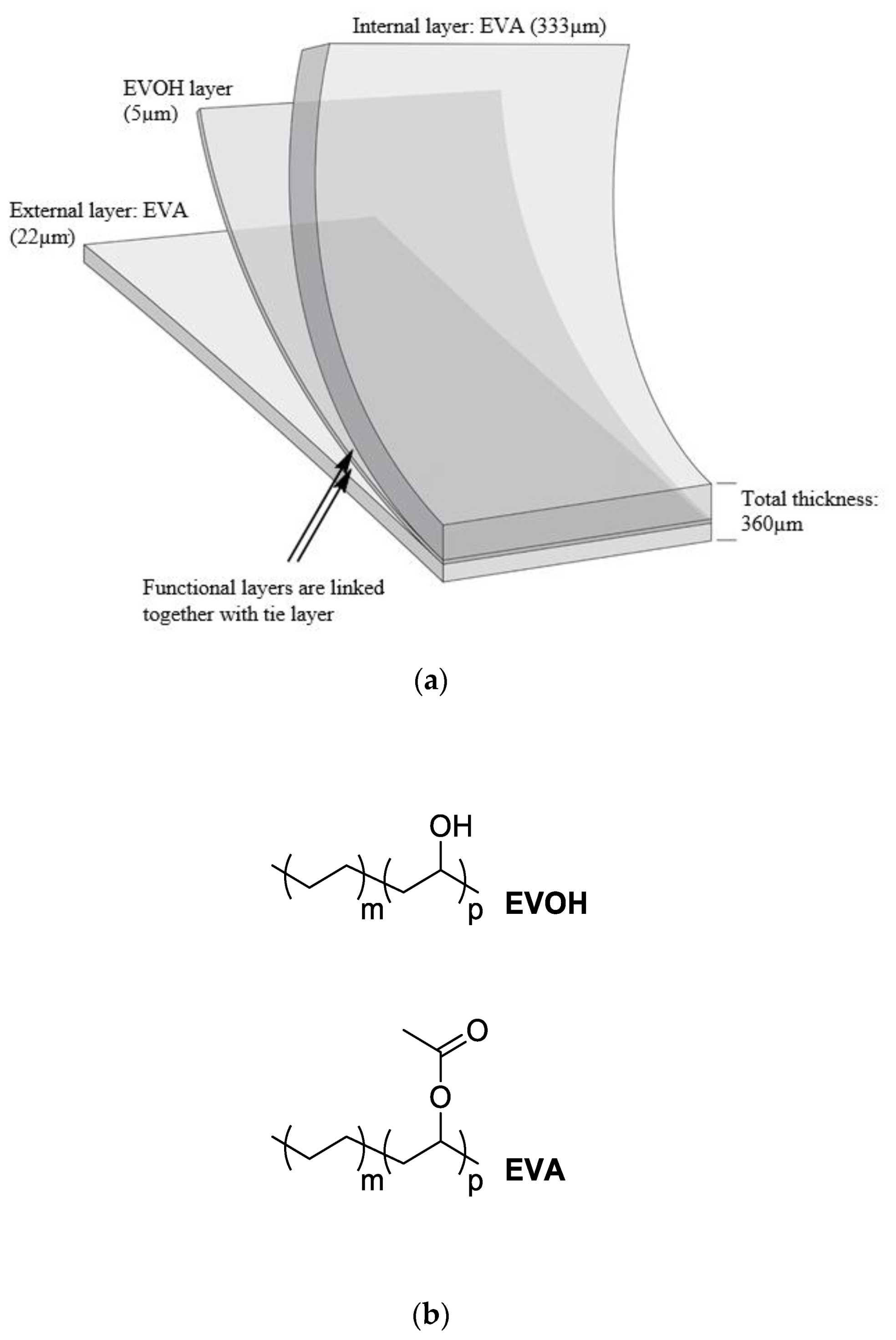 Polymers 13 02671 g001