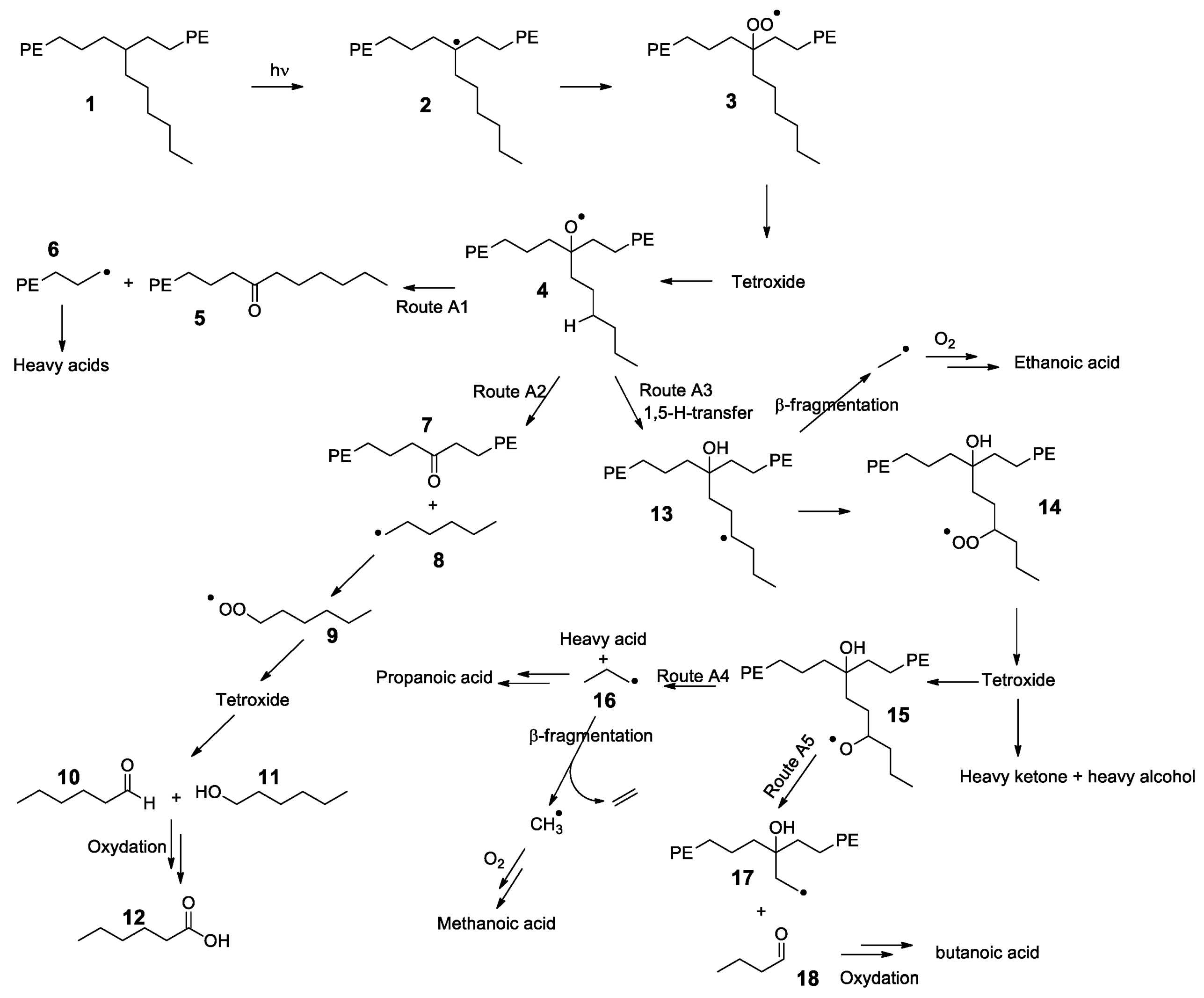 Polymers 13 02671 sch006