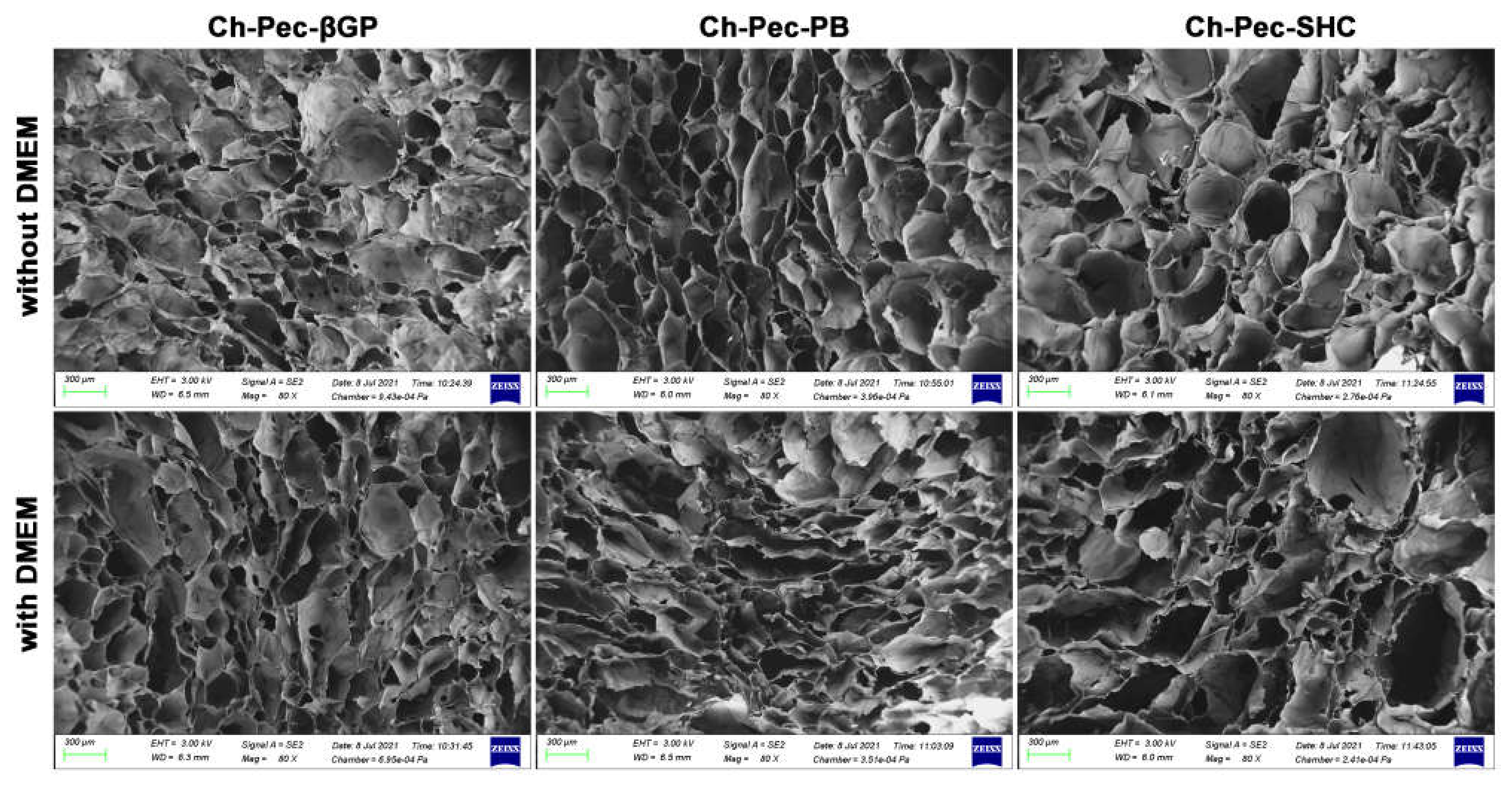 Polymers 13 02674 g006