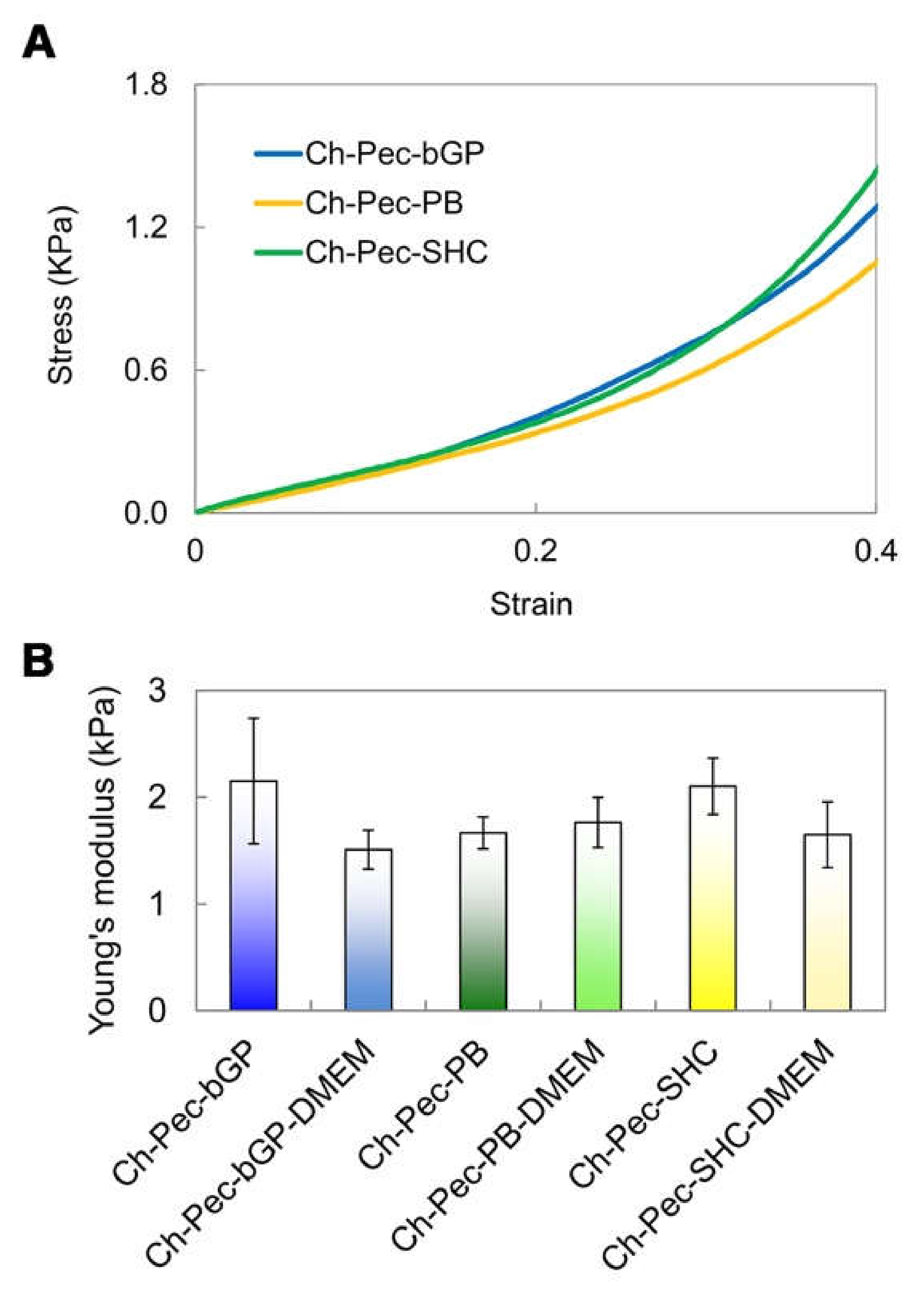 Polymers 13 02674 g008