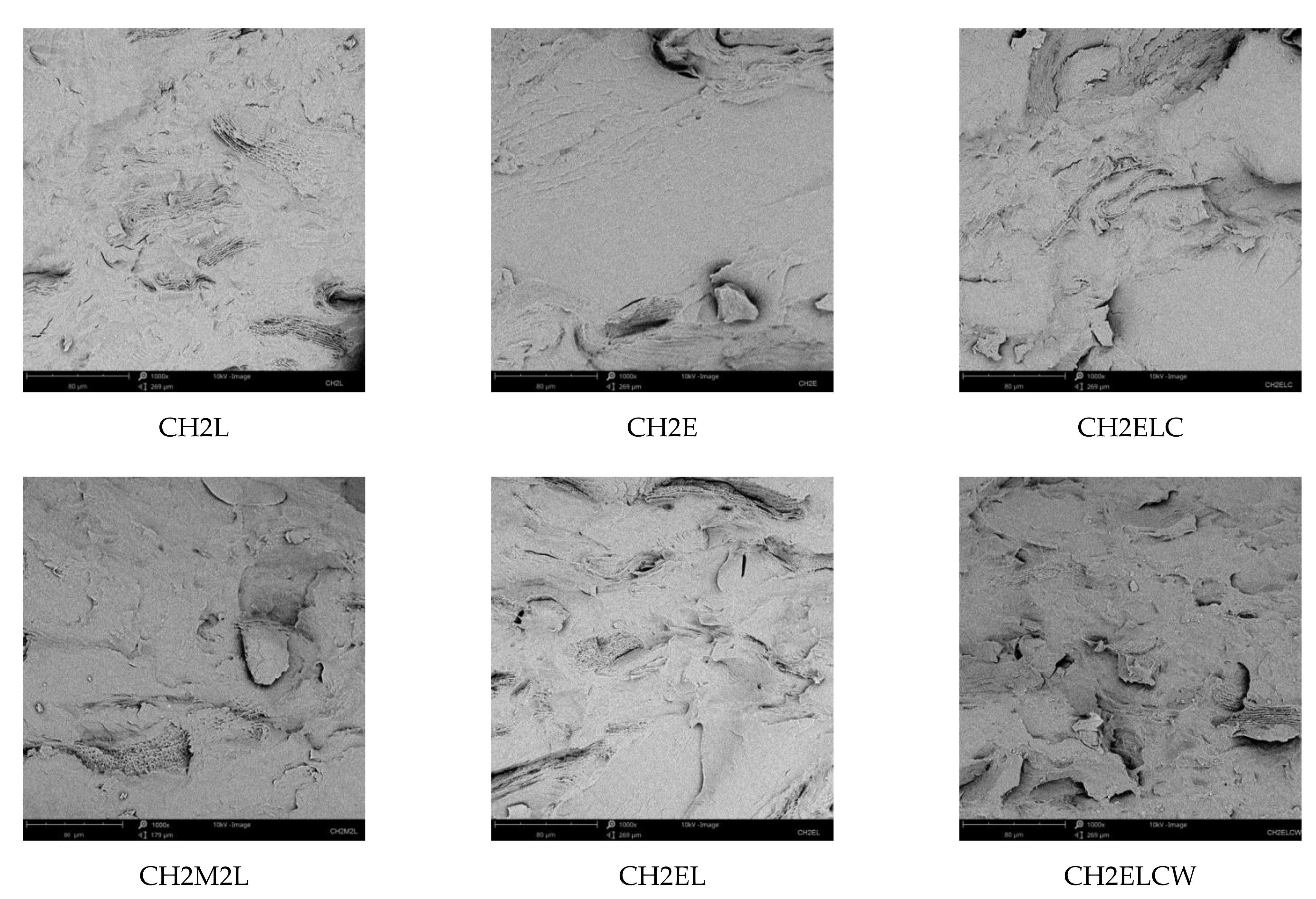 Polymers 13 02685 g008