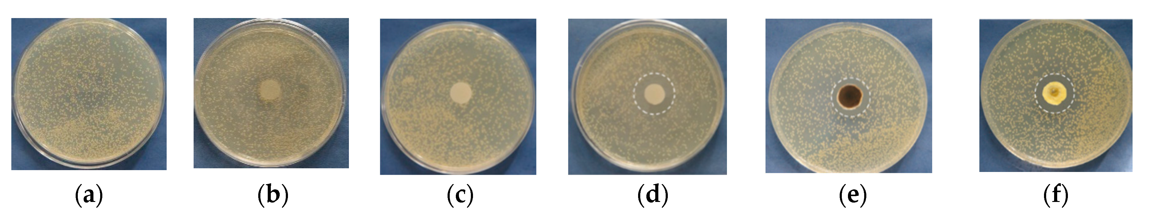 Polymers 13 02690 g008a Polymers 13 02690 g008a