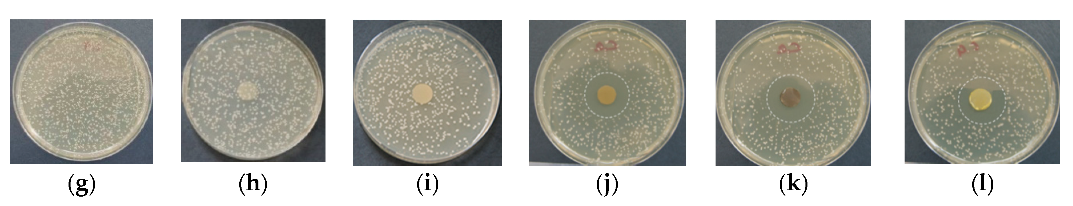 Polymers 13 02690 g008b Polymers 13 02690 g008b