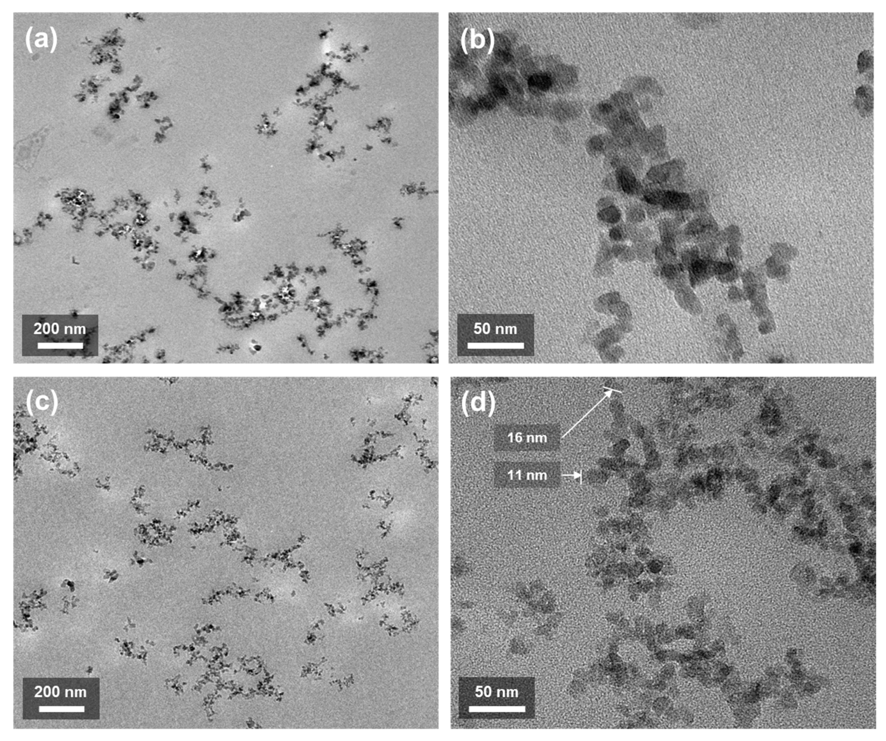 Polymers 13 02691 g003