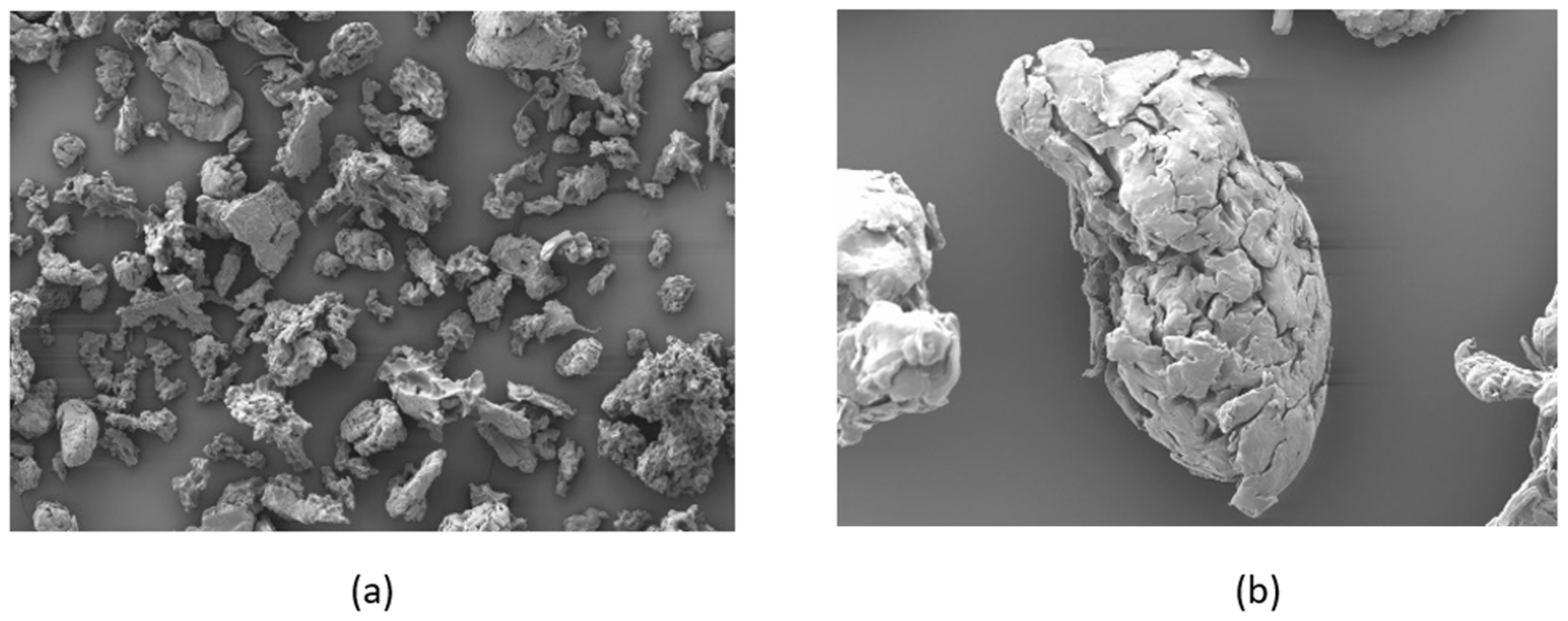 Polymers 13 02704 g001