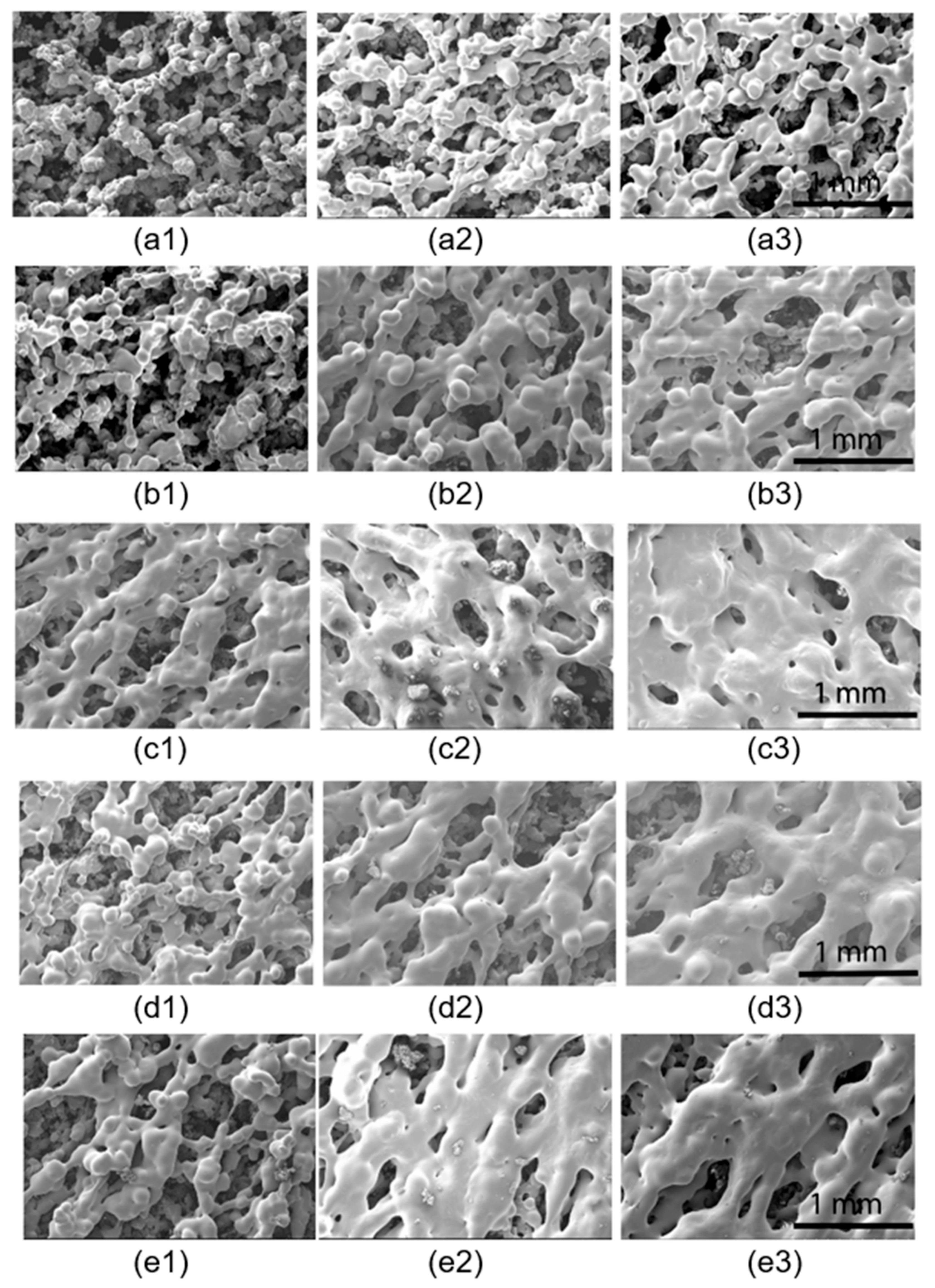 Polymers 13 02704 g004