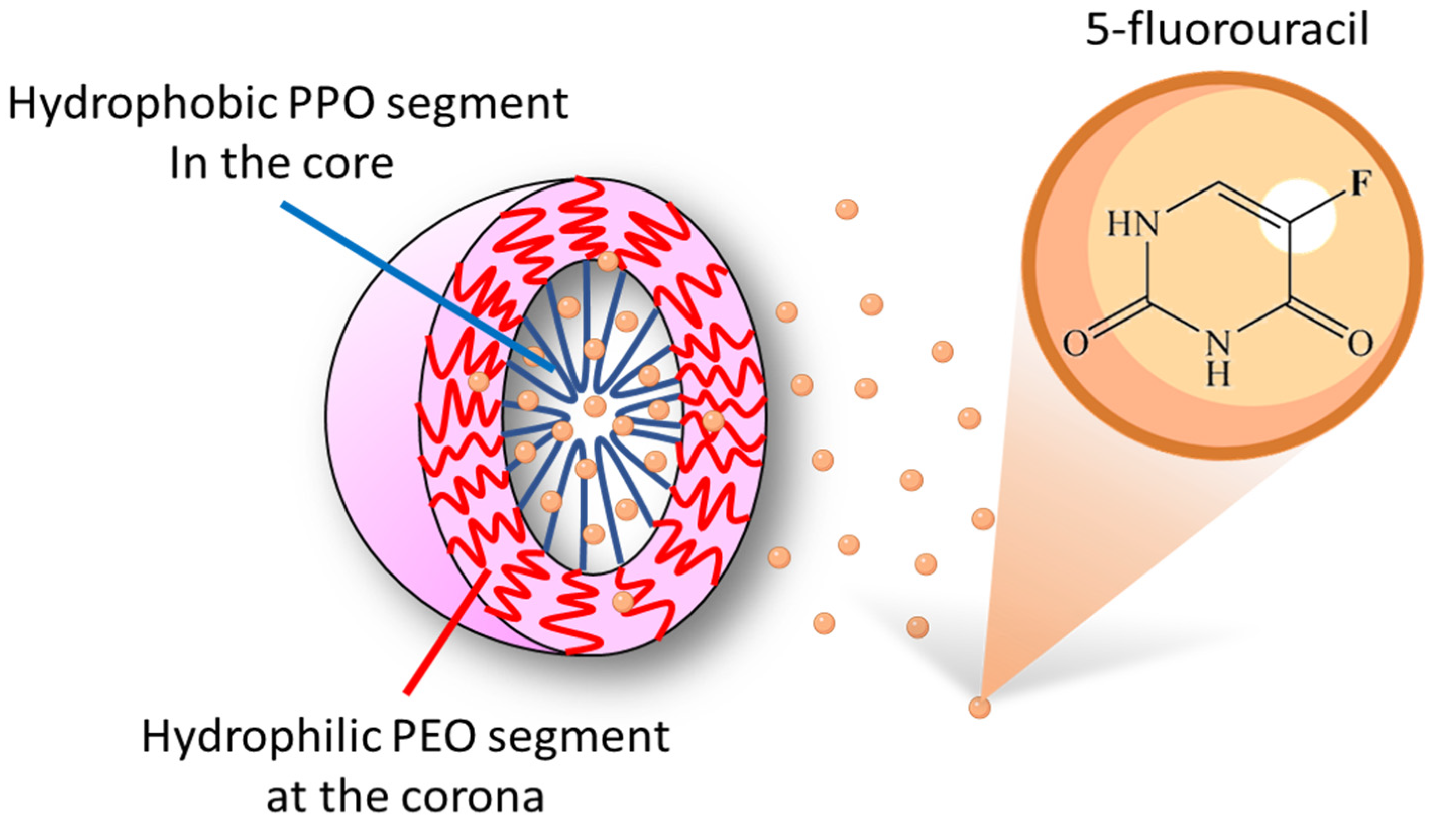 Polymers 13 02705 g001