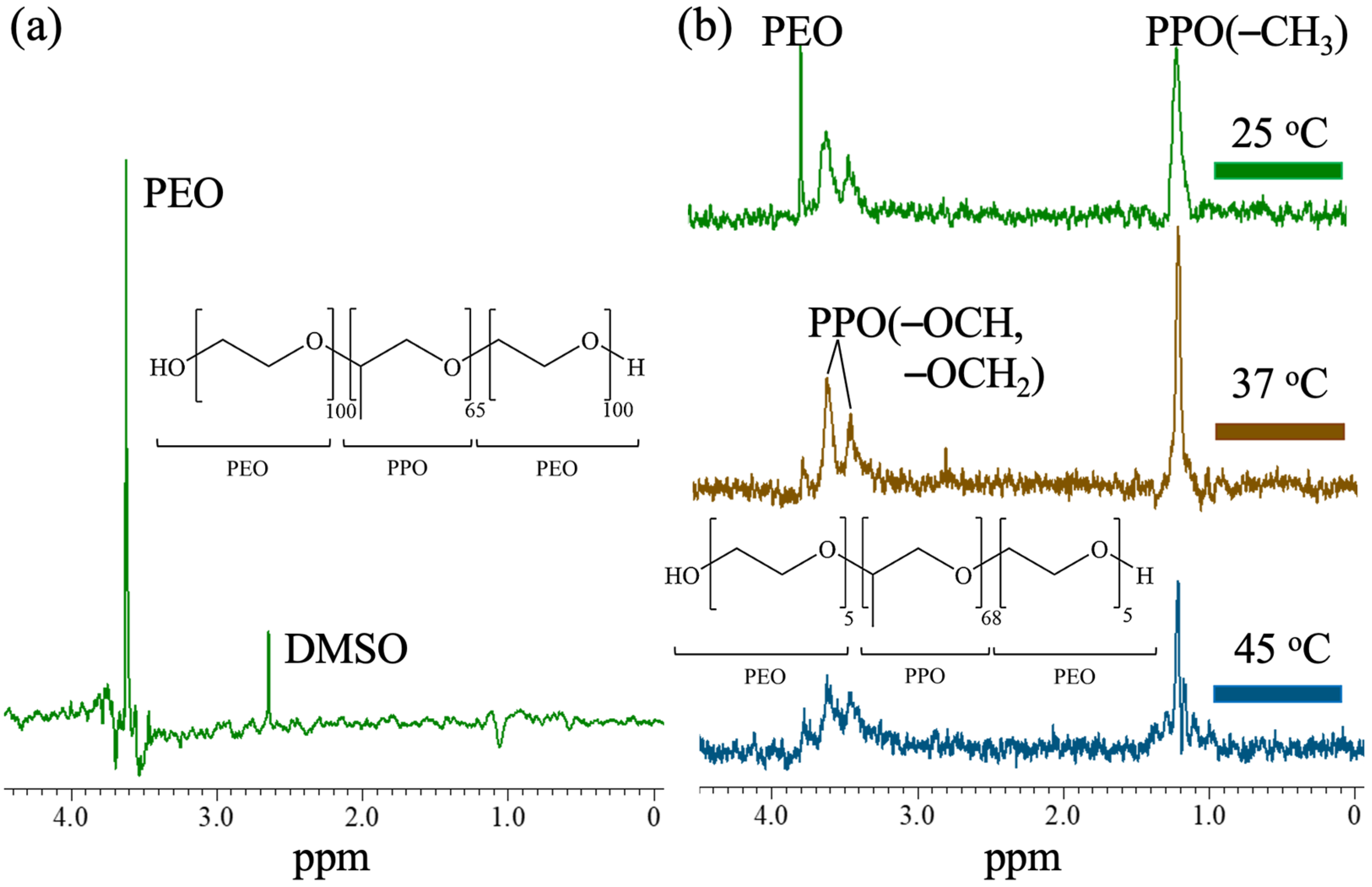 Polymers 13 02705 g002