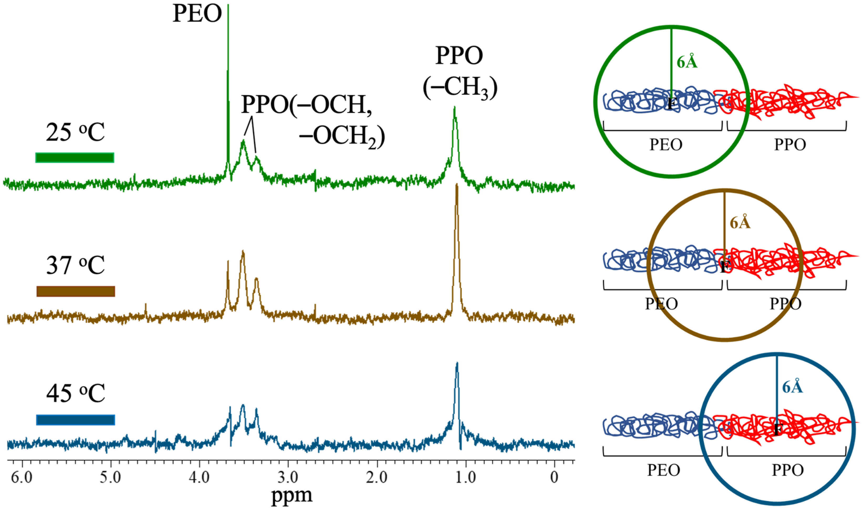 Polymers 13 02705 g003