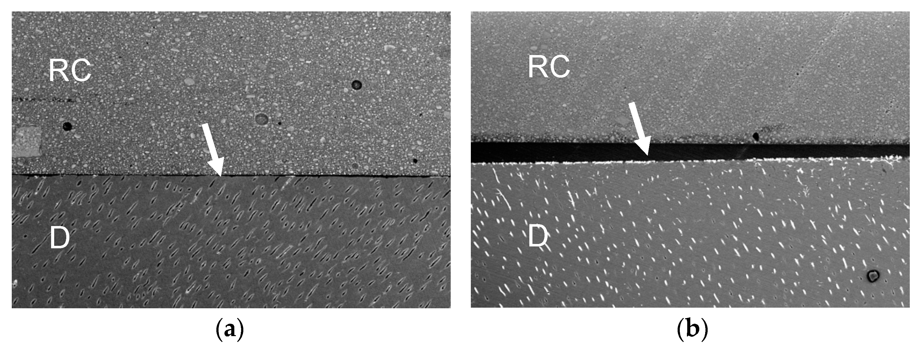 Polymers 13 02708 g001