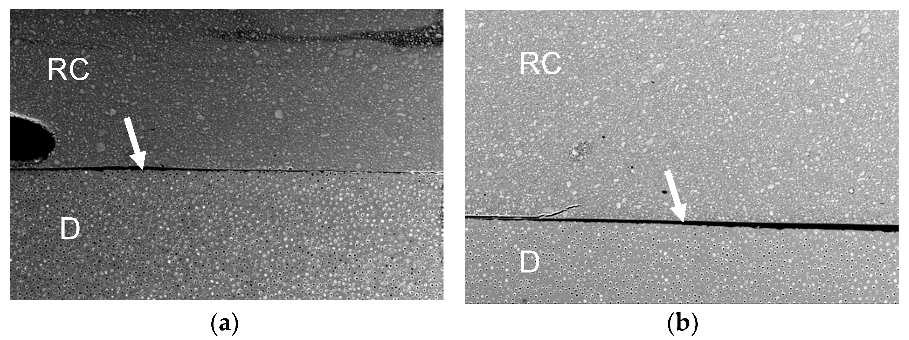 Polymers 13 02708 g002