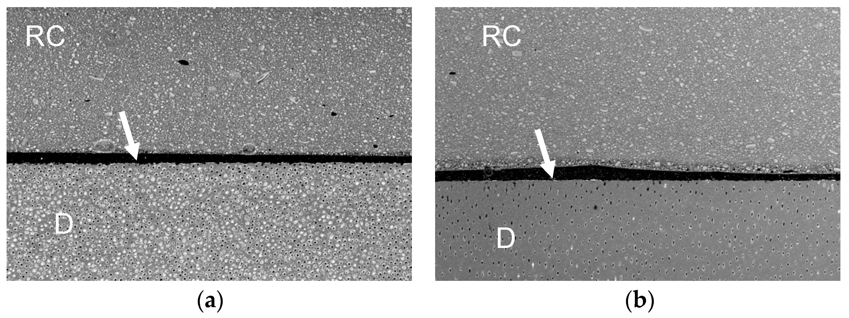 Polymers 13 02708 g003