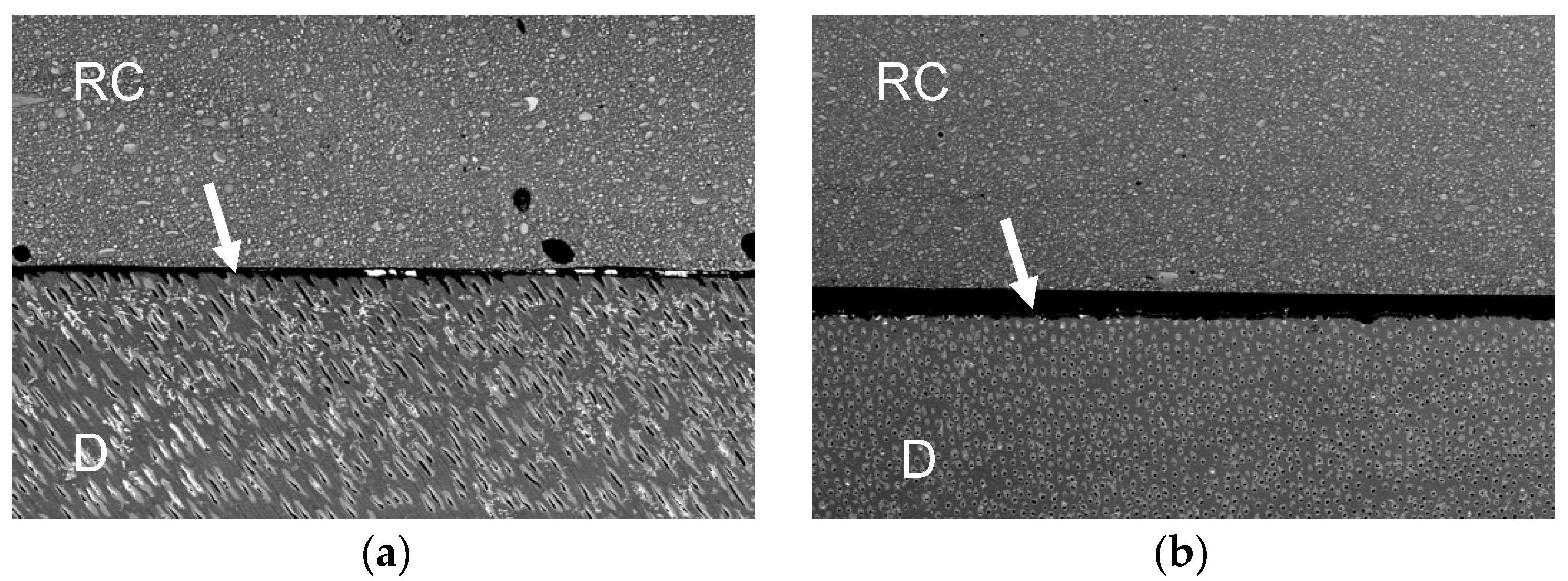 Polymers 13 02708 g004