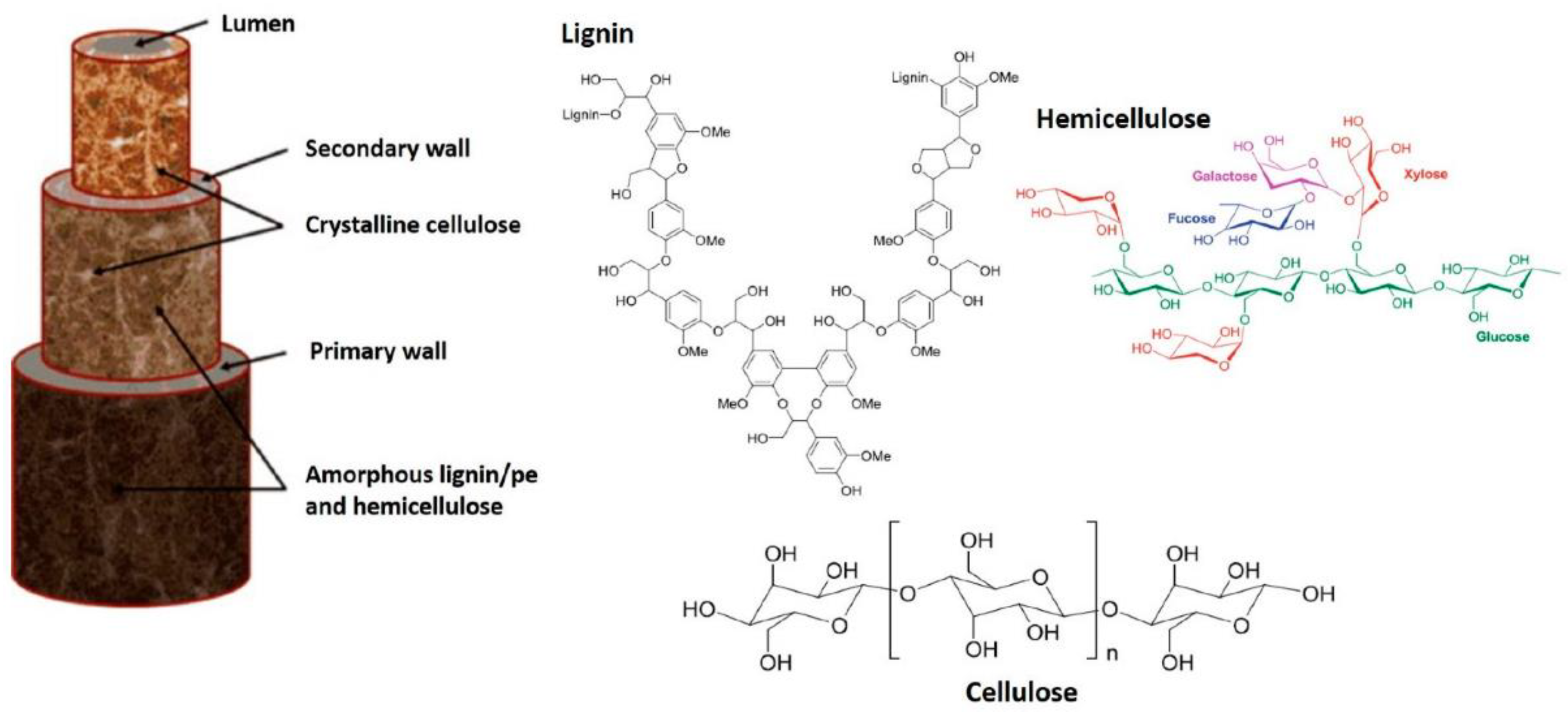 Polymers 13 02710 g003 Polymers 13 02710 g003