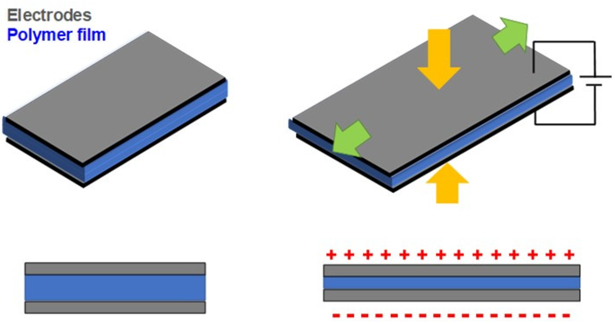 Polymers 13 02713 g001