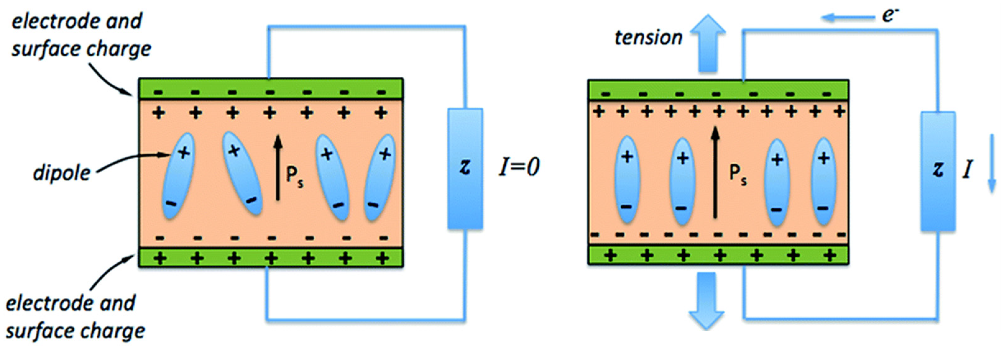 Polymers 13 02713 g002
