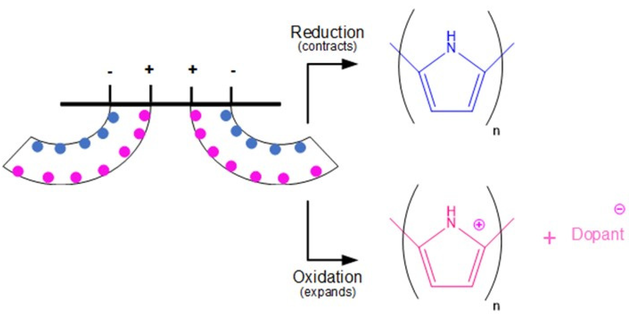 Polymers 13 02713 g003
