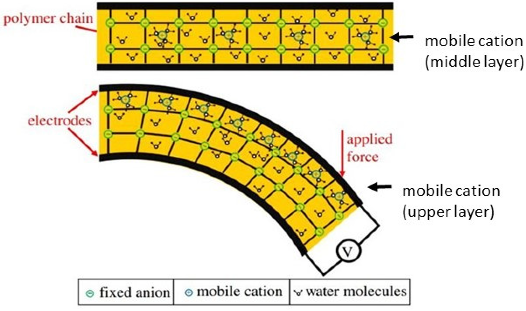 Polymers 13 02713 g007
