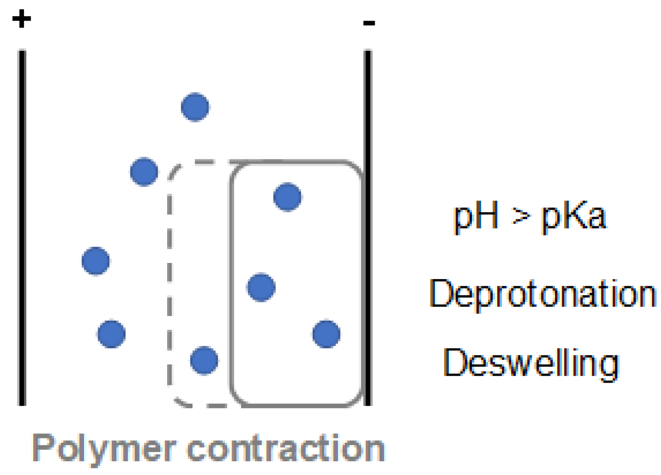 Polymers 13 02713 g008