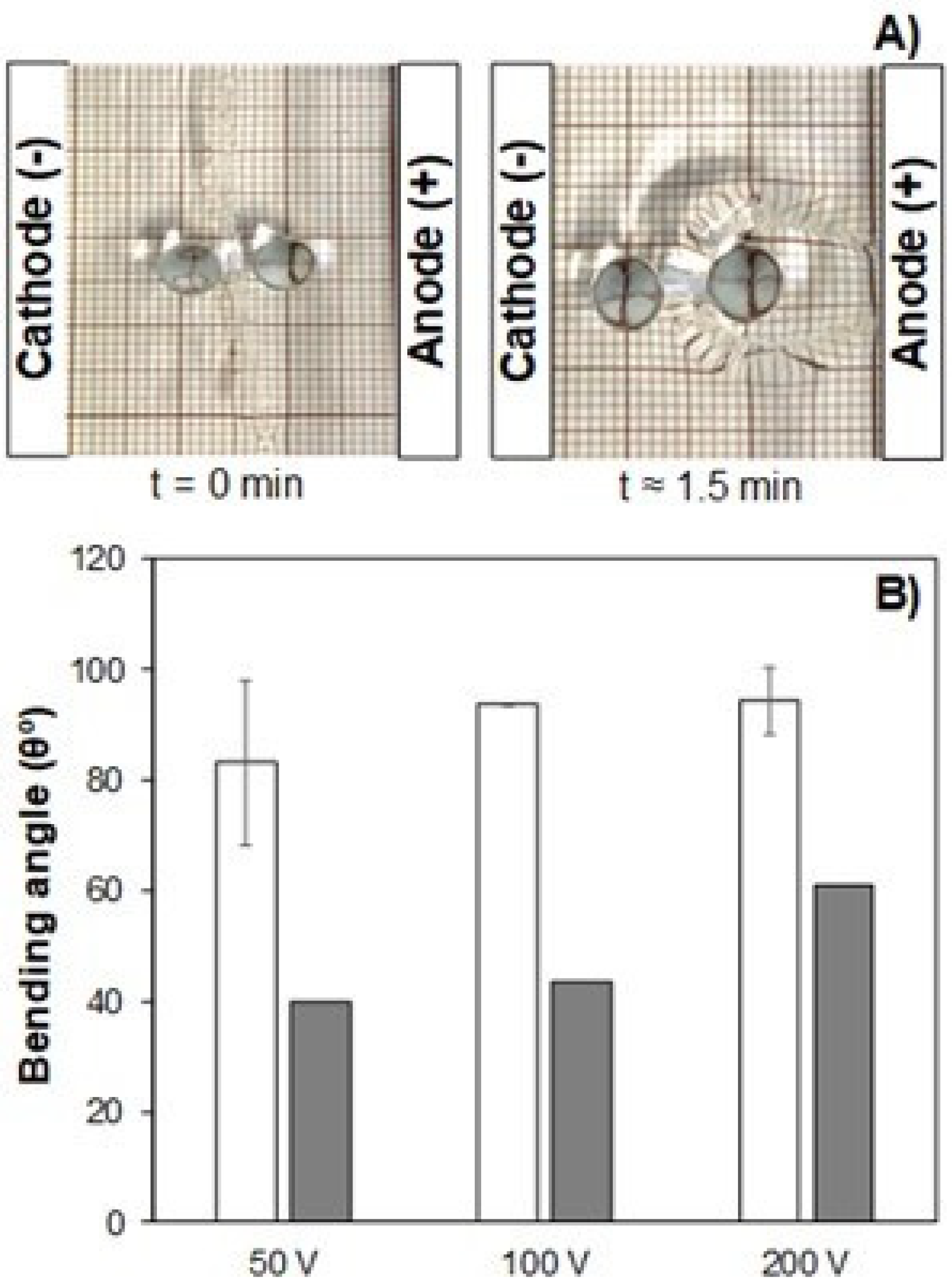 Polymers 13 02713 g014