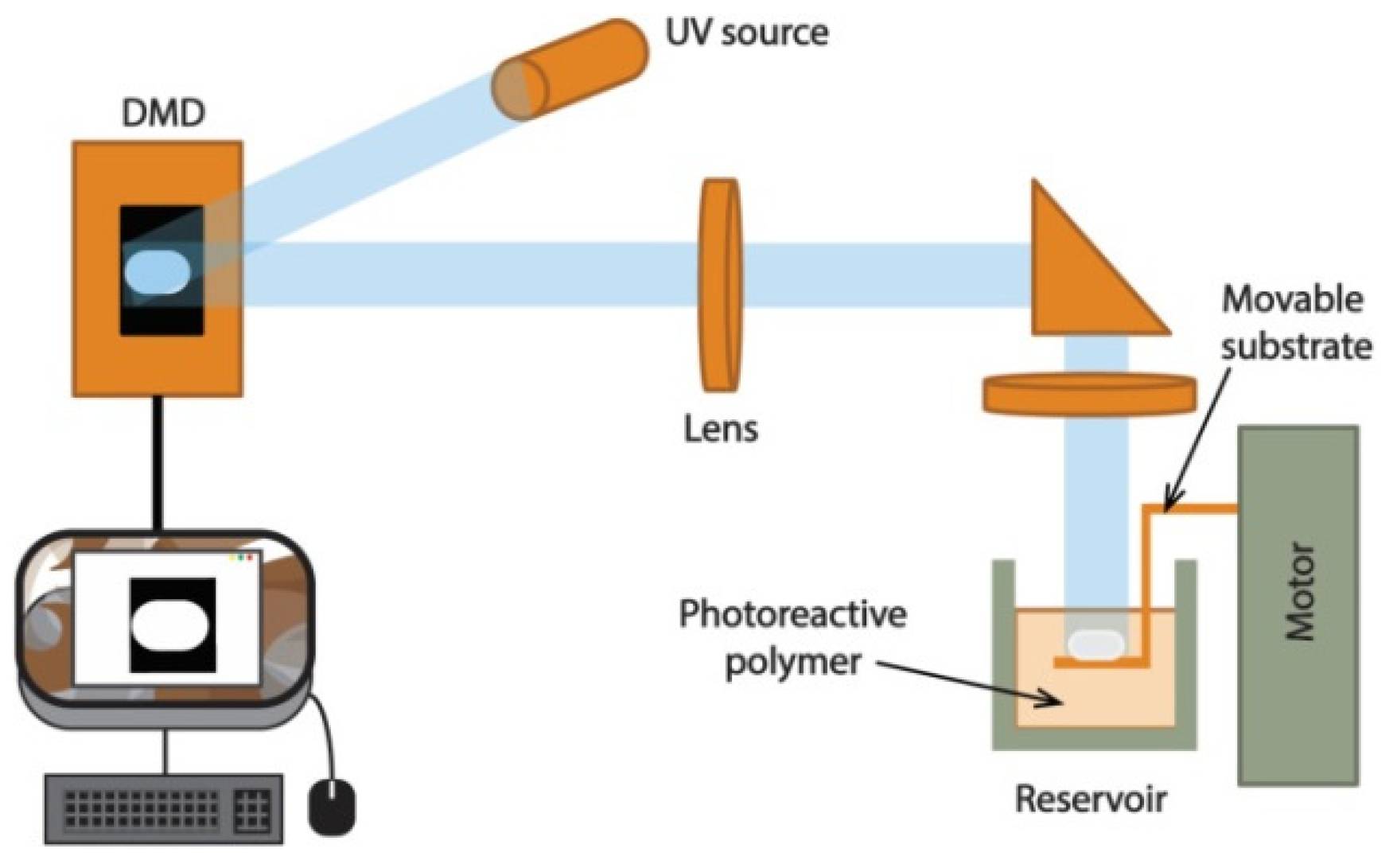 Polymers 13 02713 g017