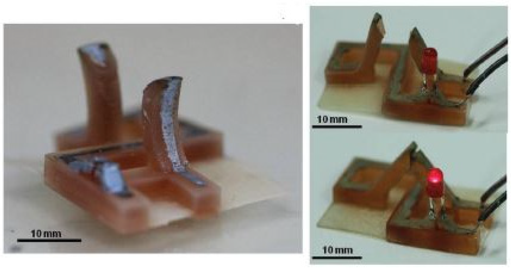 Polymers 13 02713 g018