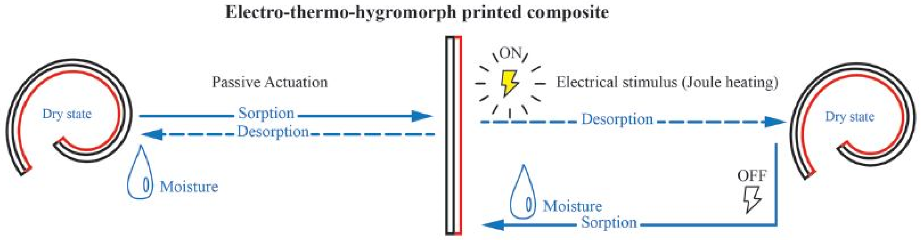 Polymers 13 02713 g019