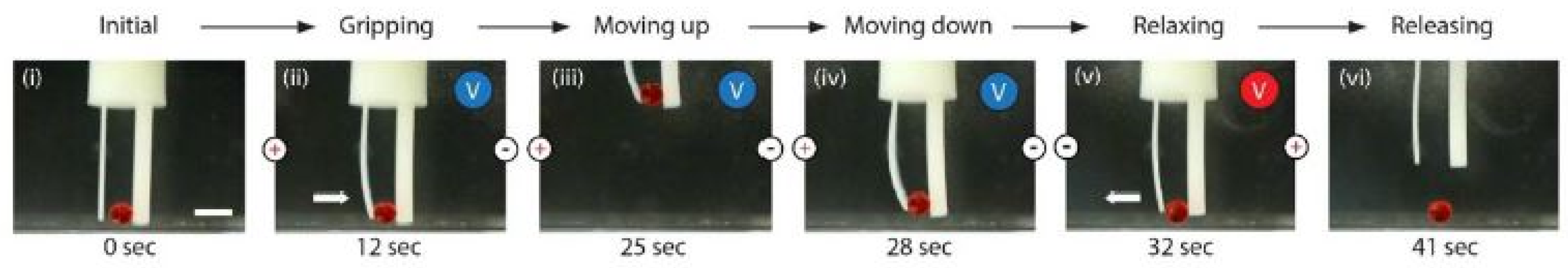 Polymers 13 02713 g020