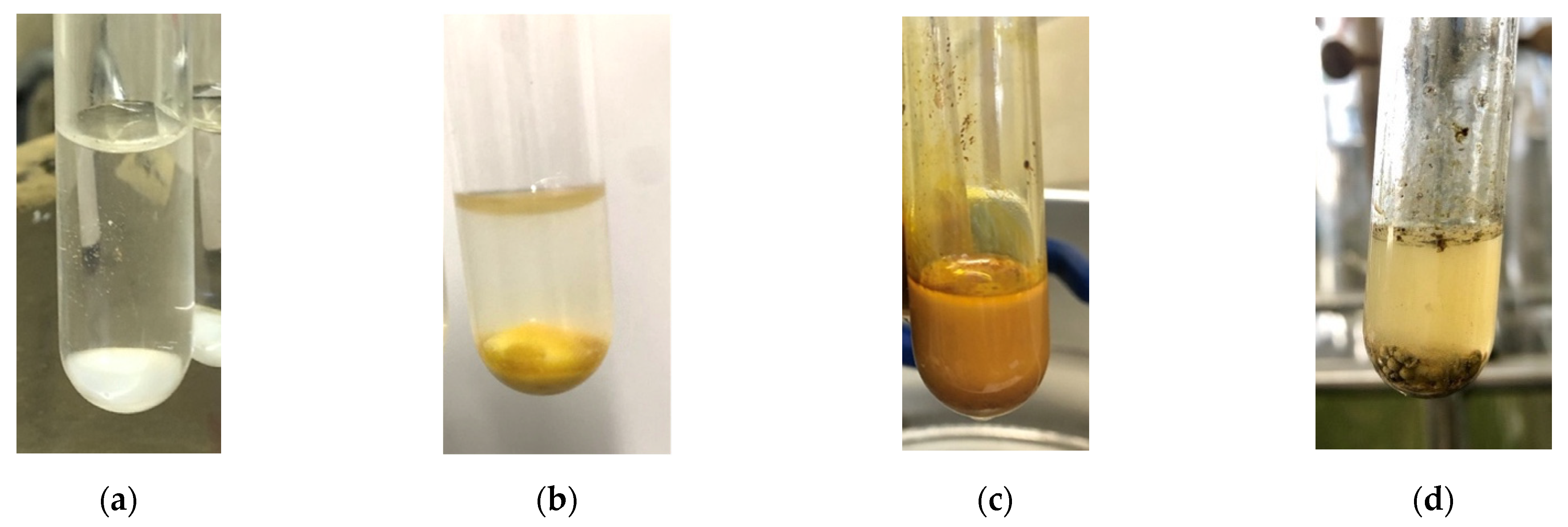 Polymers 13 02717 g005