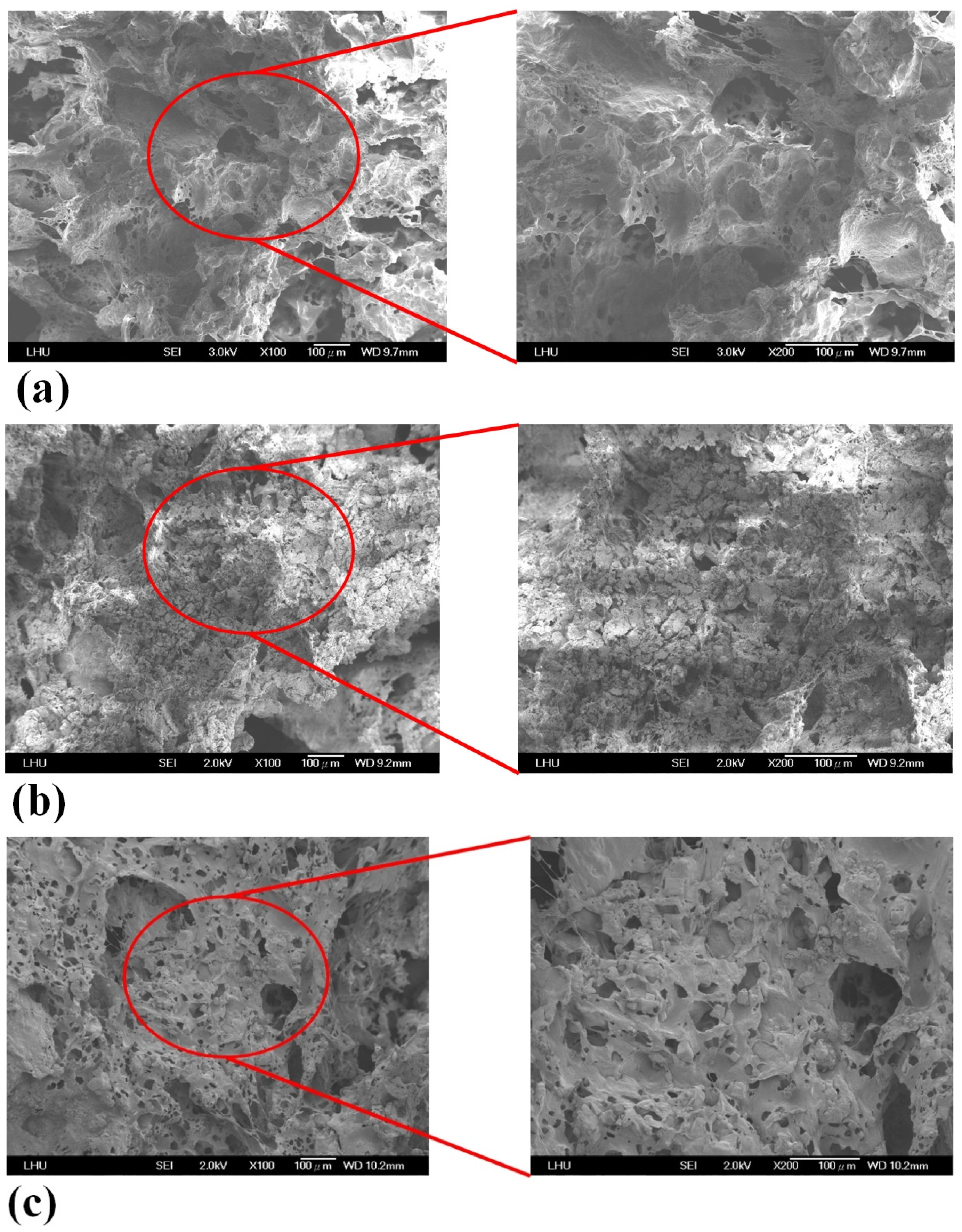 Polymers 13 02718 g002a