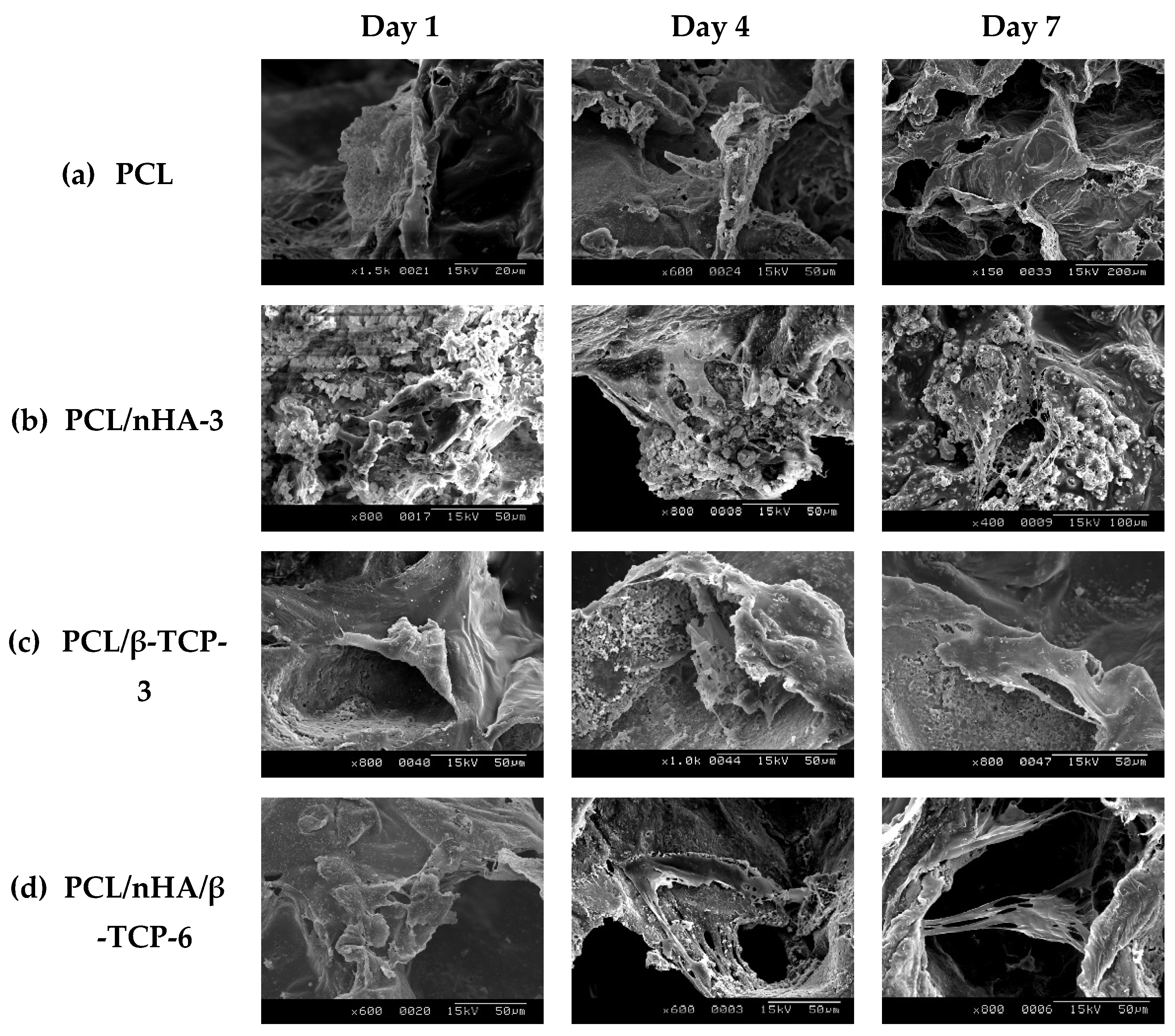 Polymers 13 02718 g007