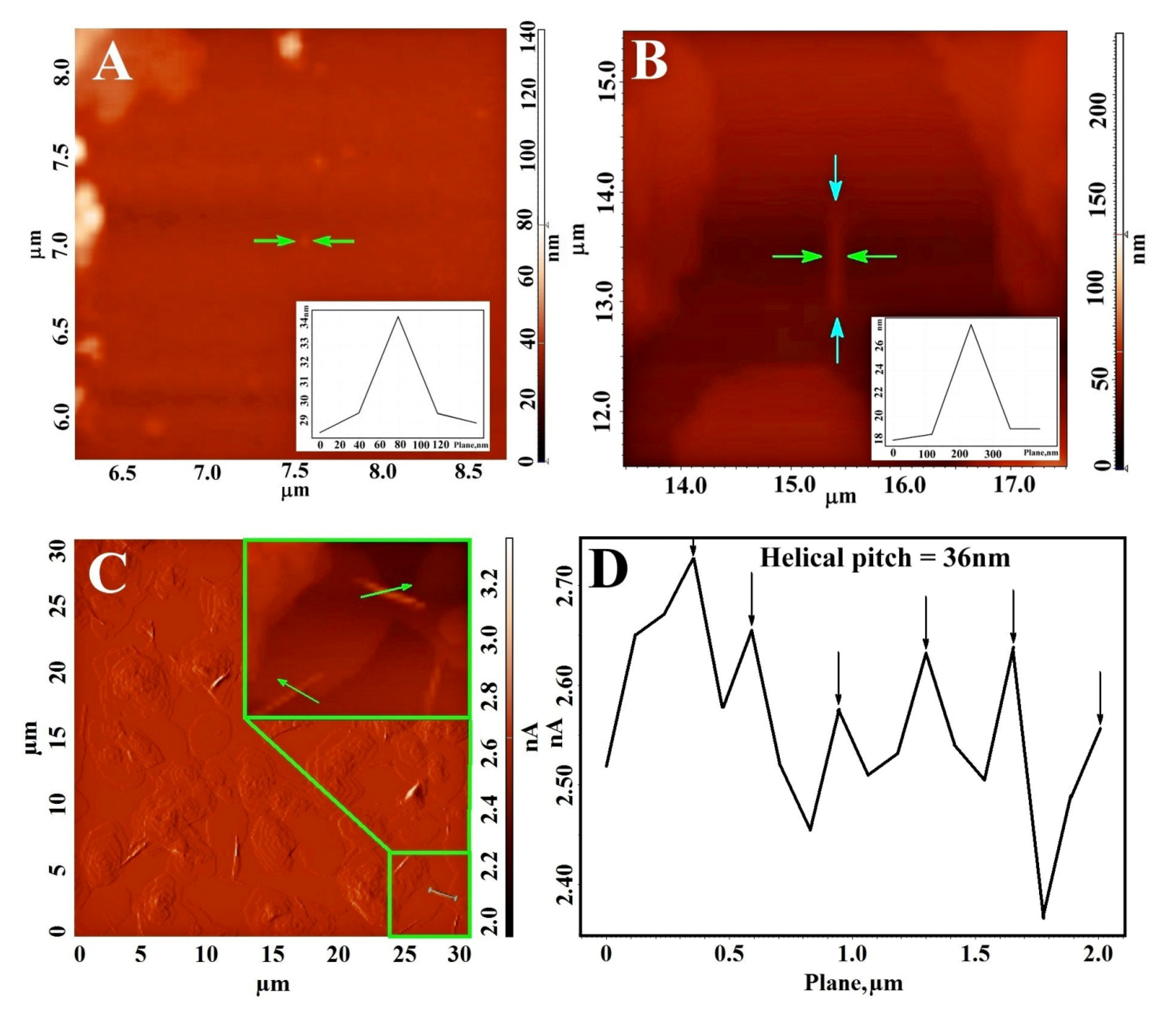Polymers 13 02720 g004