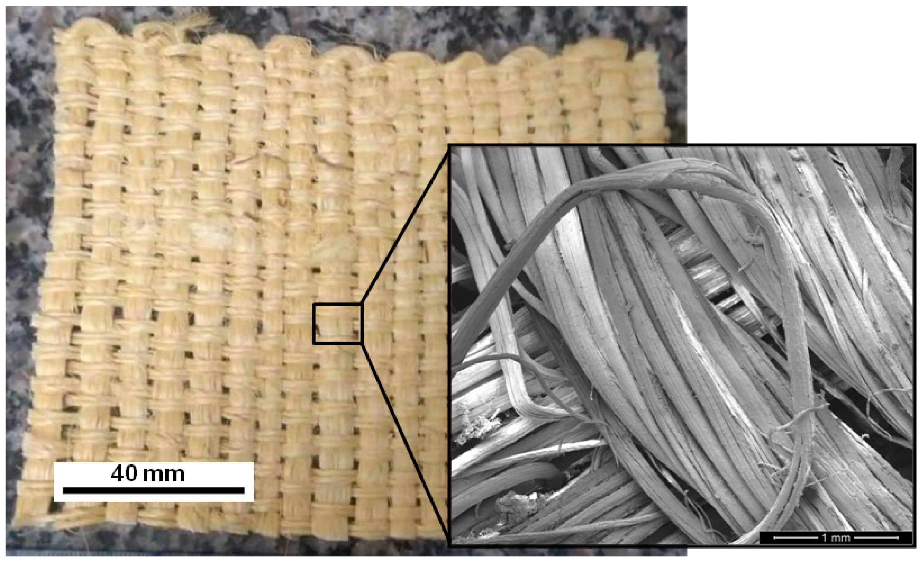 Polymers 13 02727 g001