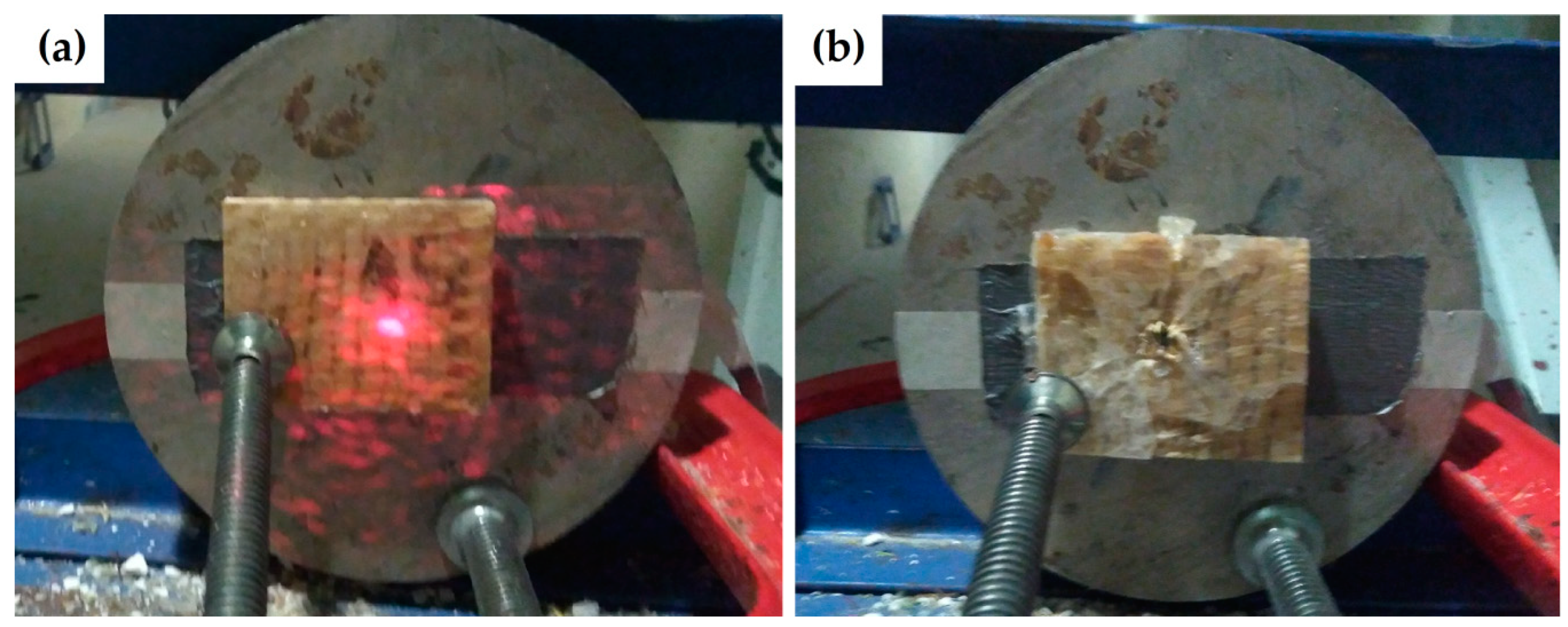 Polymers 13 02727 g004