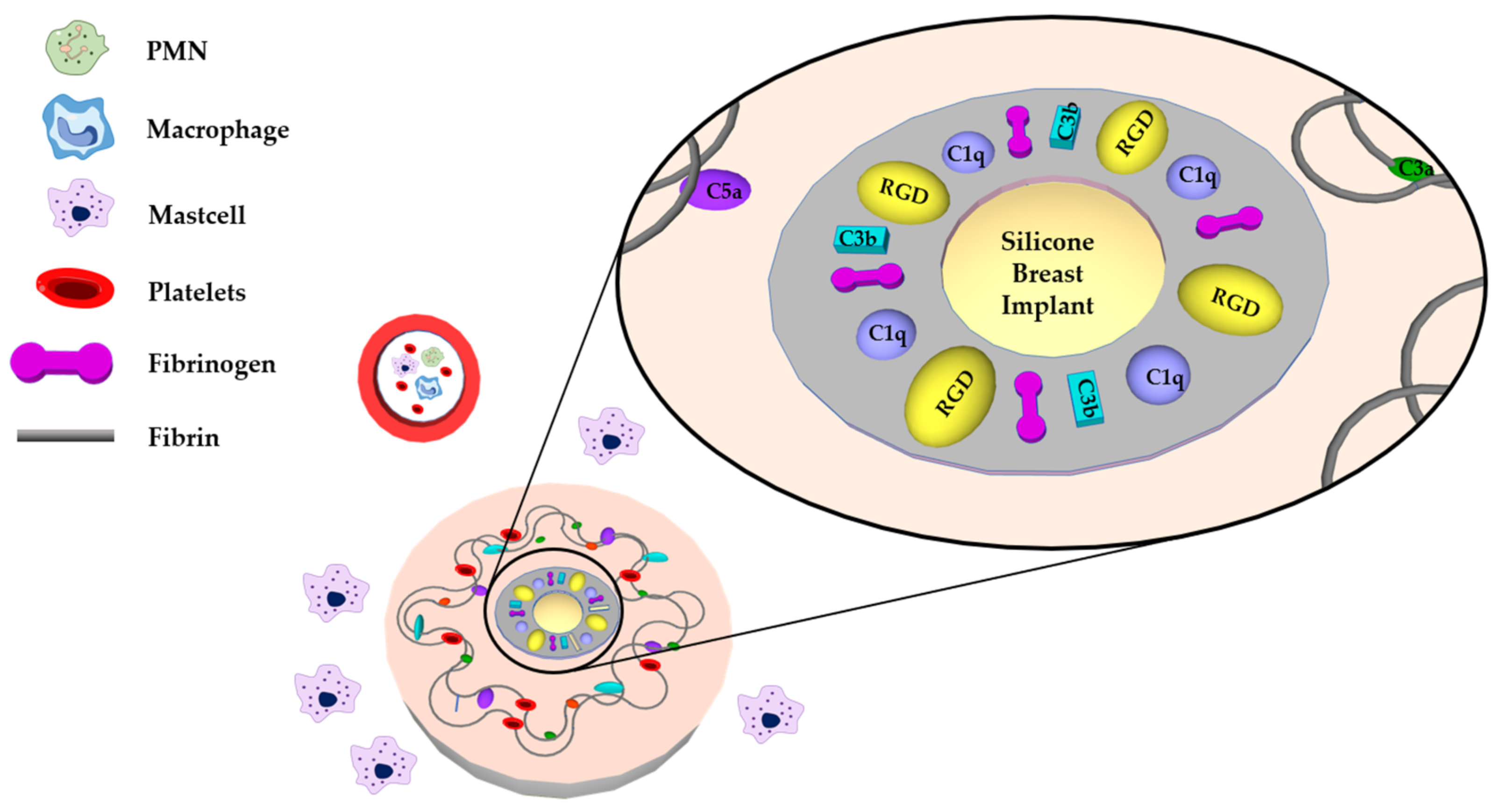 Polymers 13 02731 g001