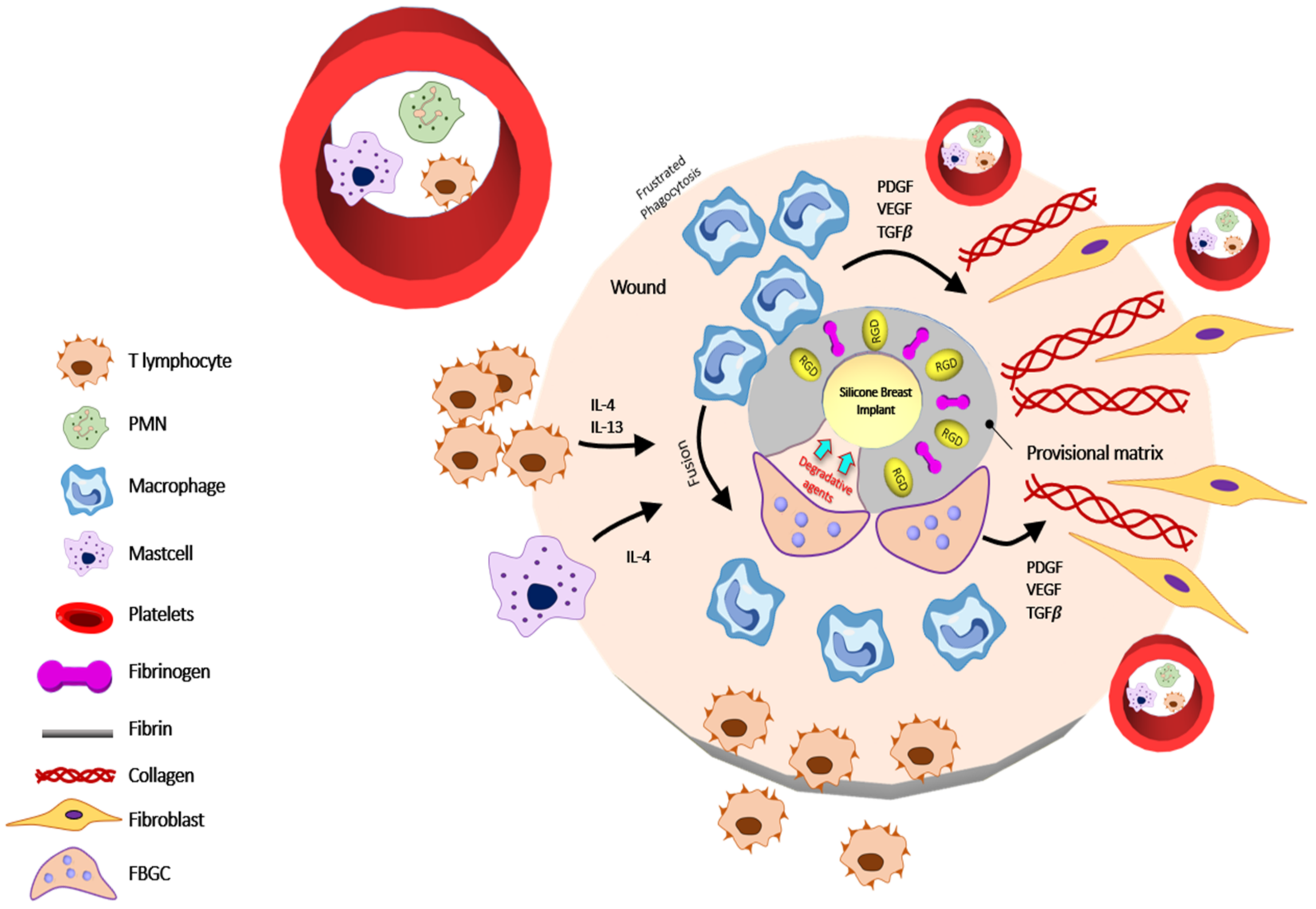 Polymers 13 02731 g003