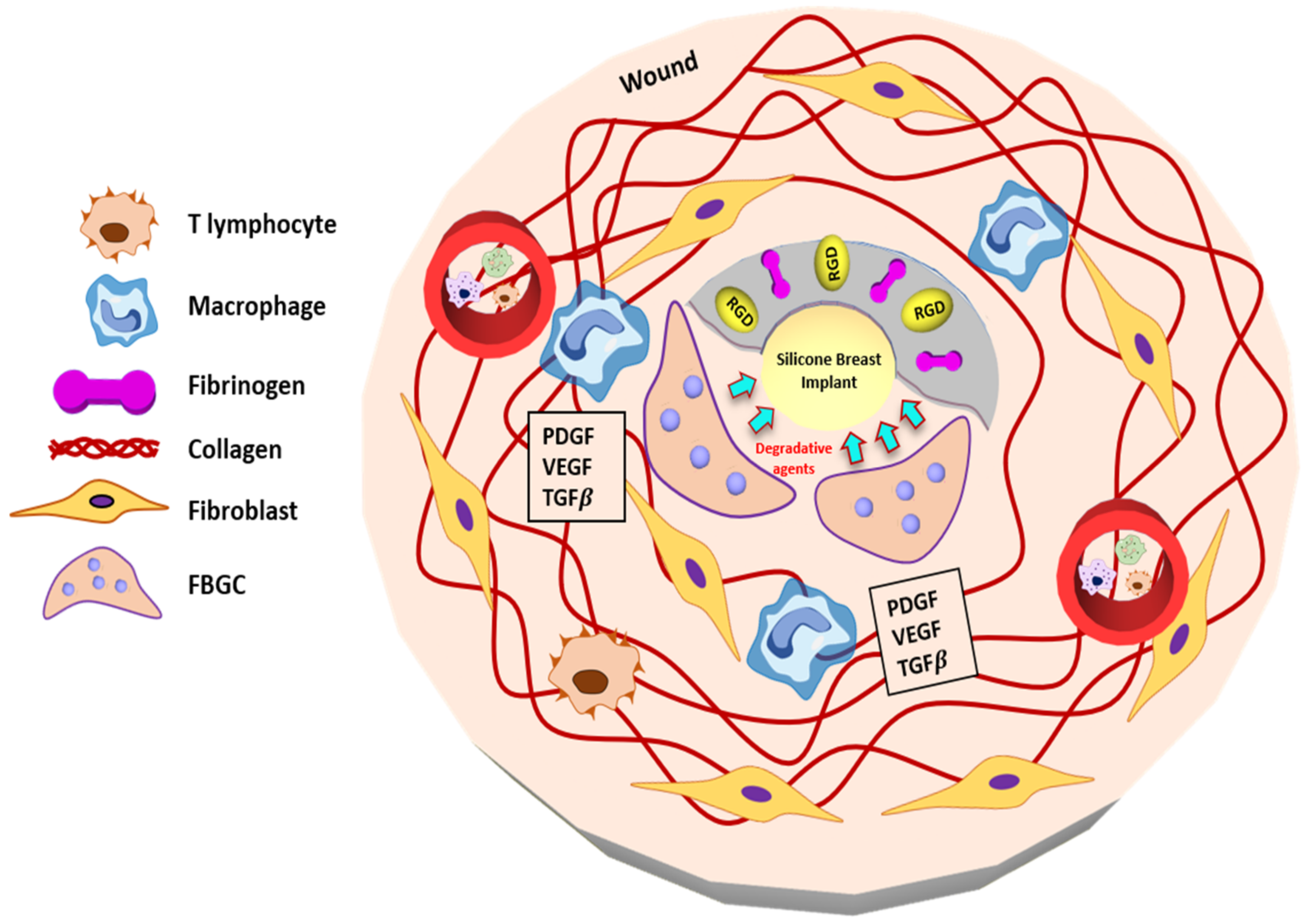 Polymers 13 02731 g004