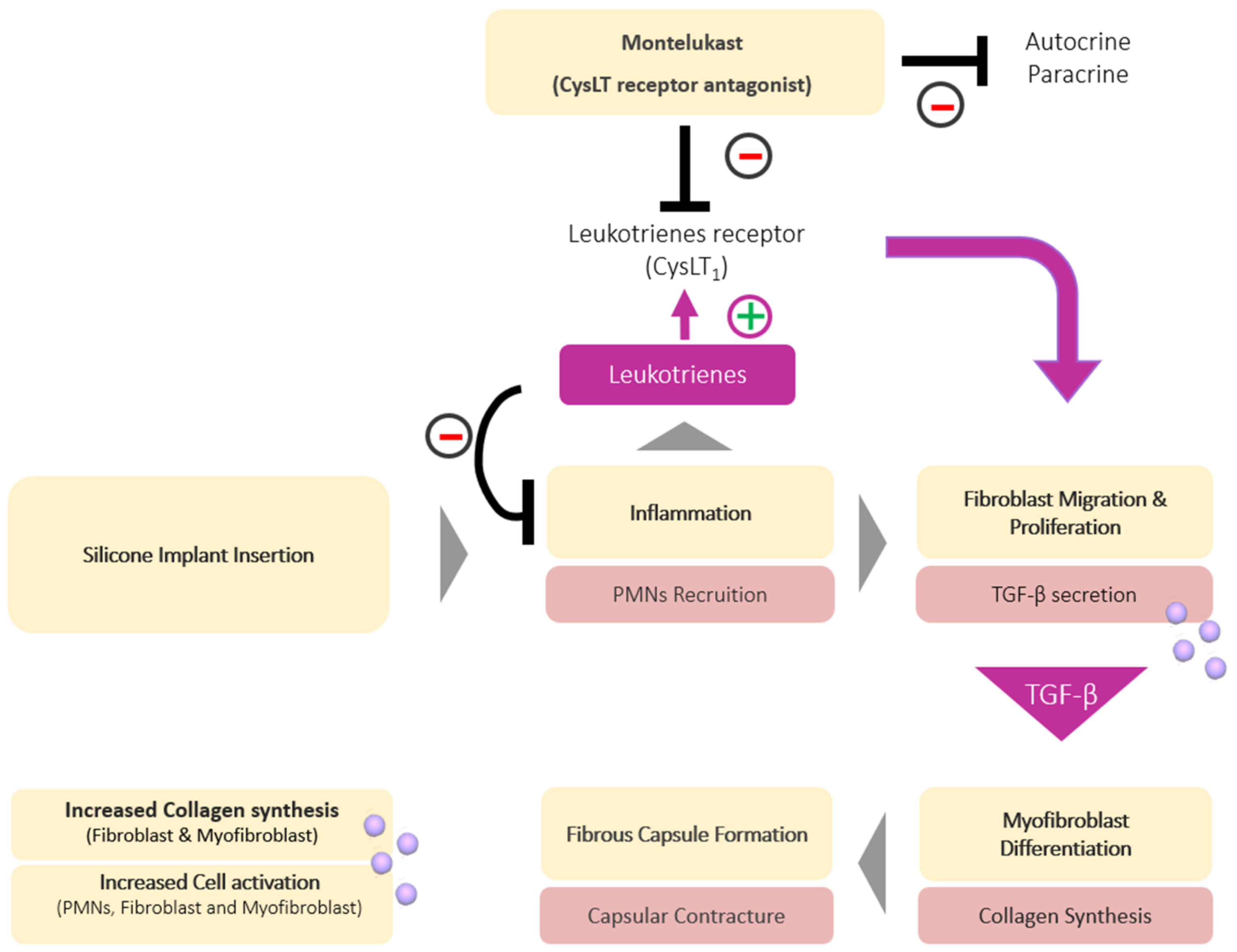 Polymers 13 02731 g005