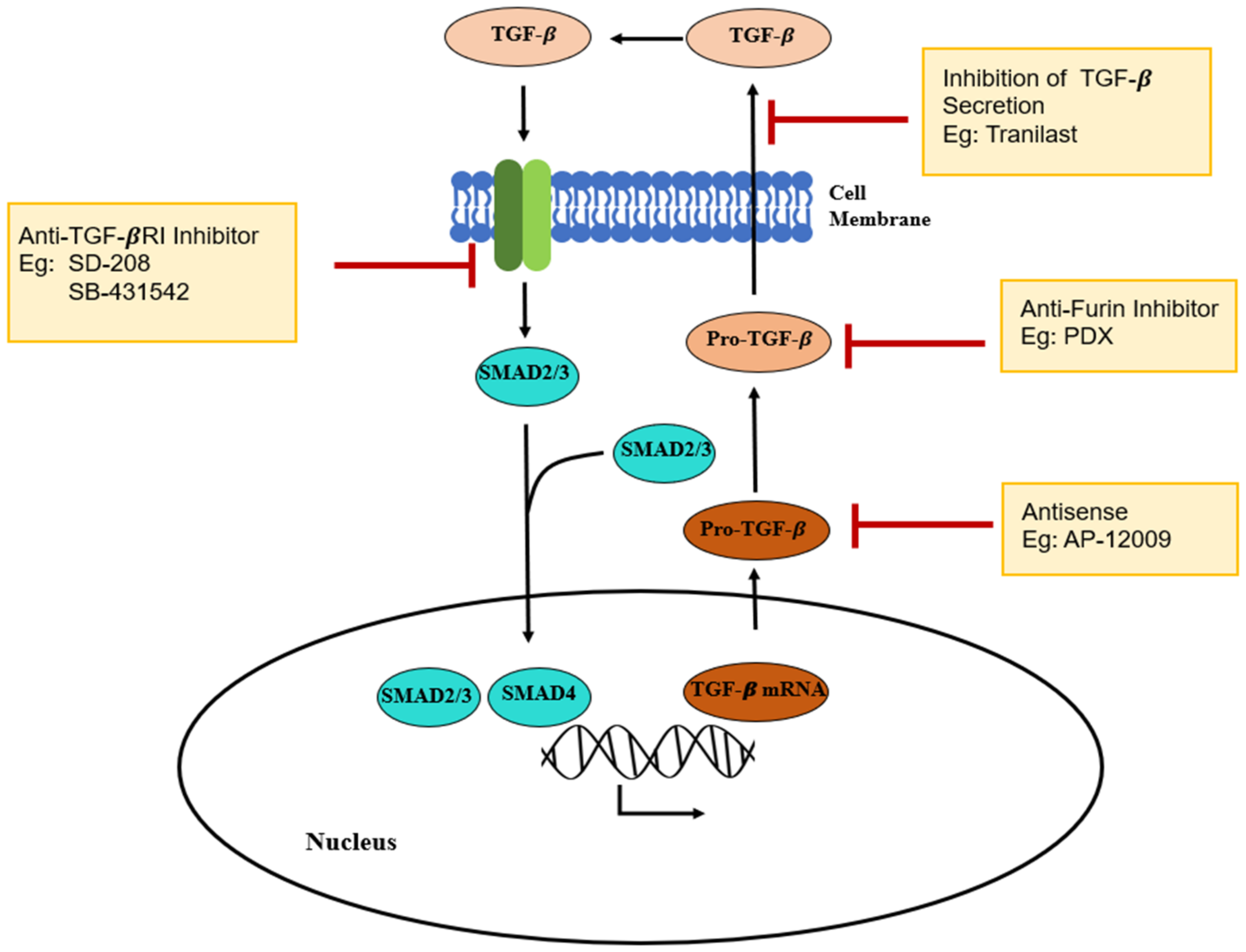 Polymers 13 02731 g006