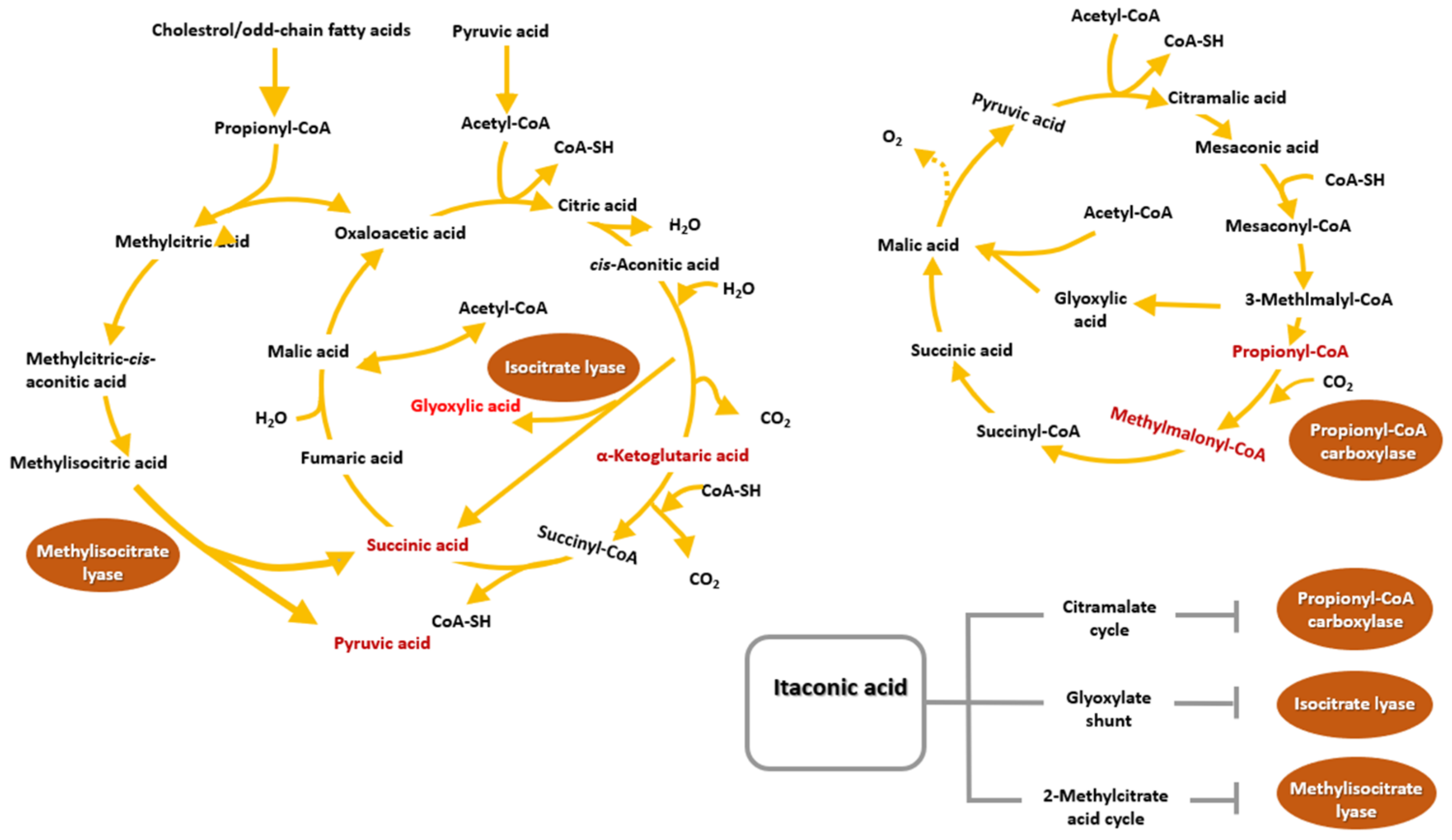 Polymers 13 02731 g009