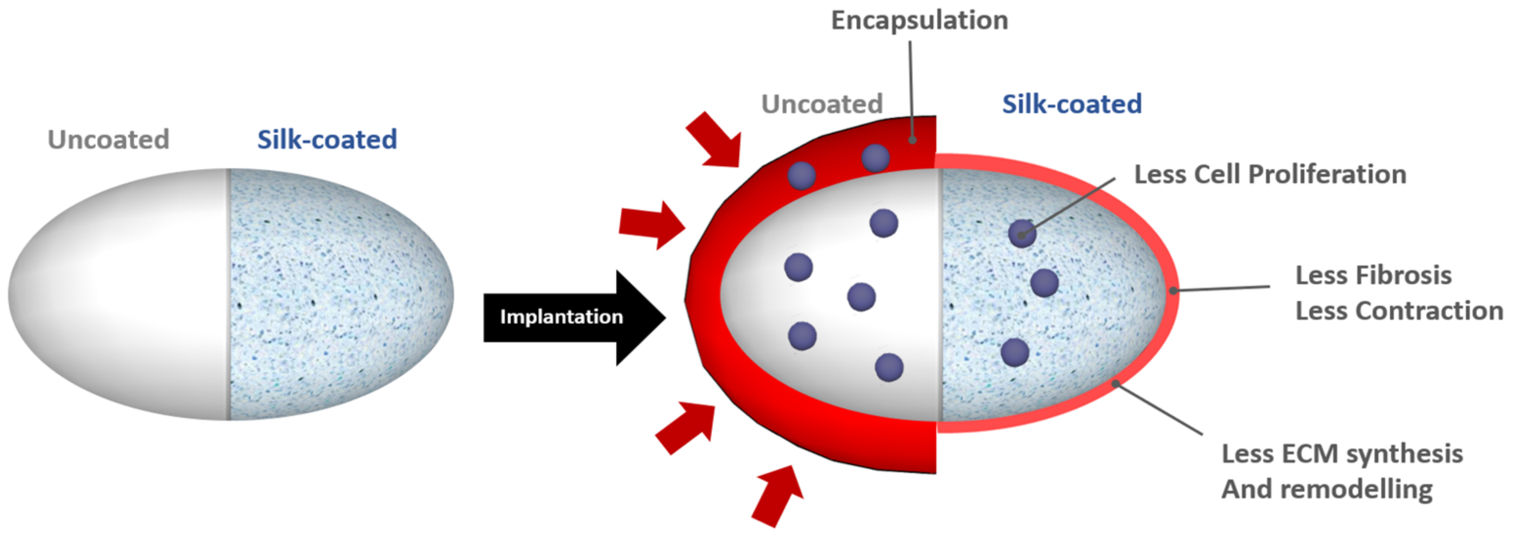 Polymers 13 02731 g012